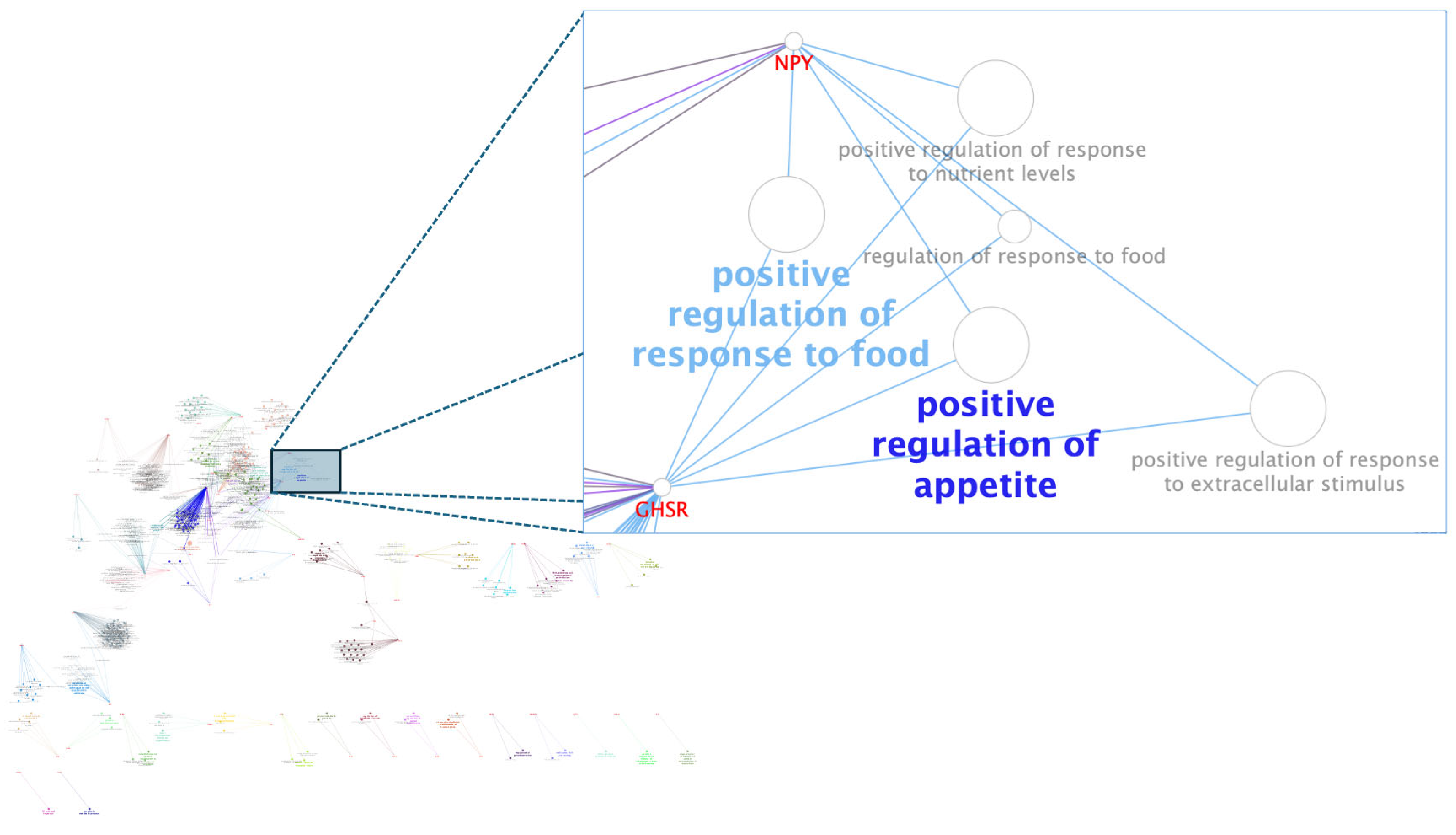 Animals 15 02874 g003