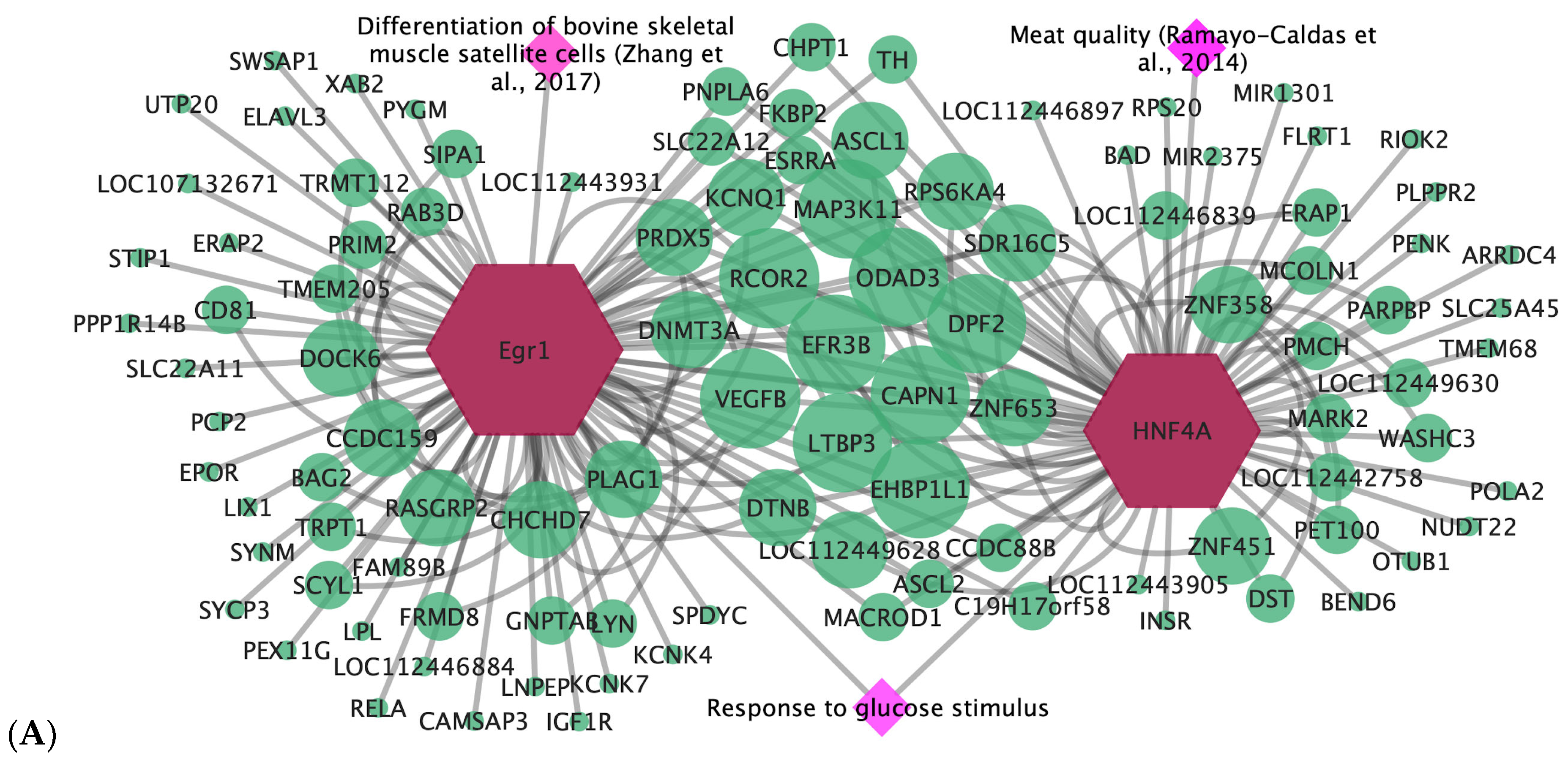 Animals 15 02874 g004a