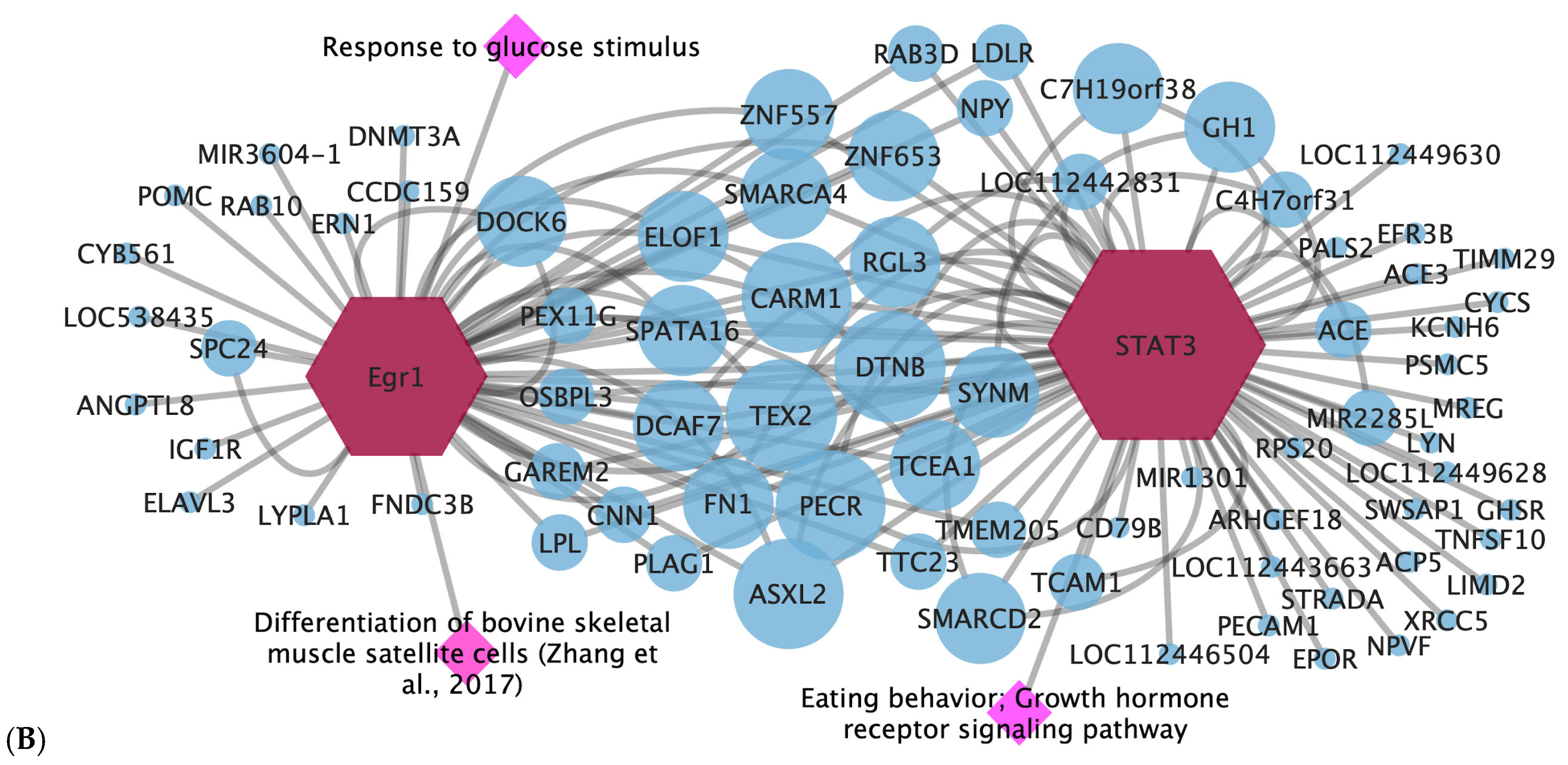 Animals 15 02874 g004b
