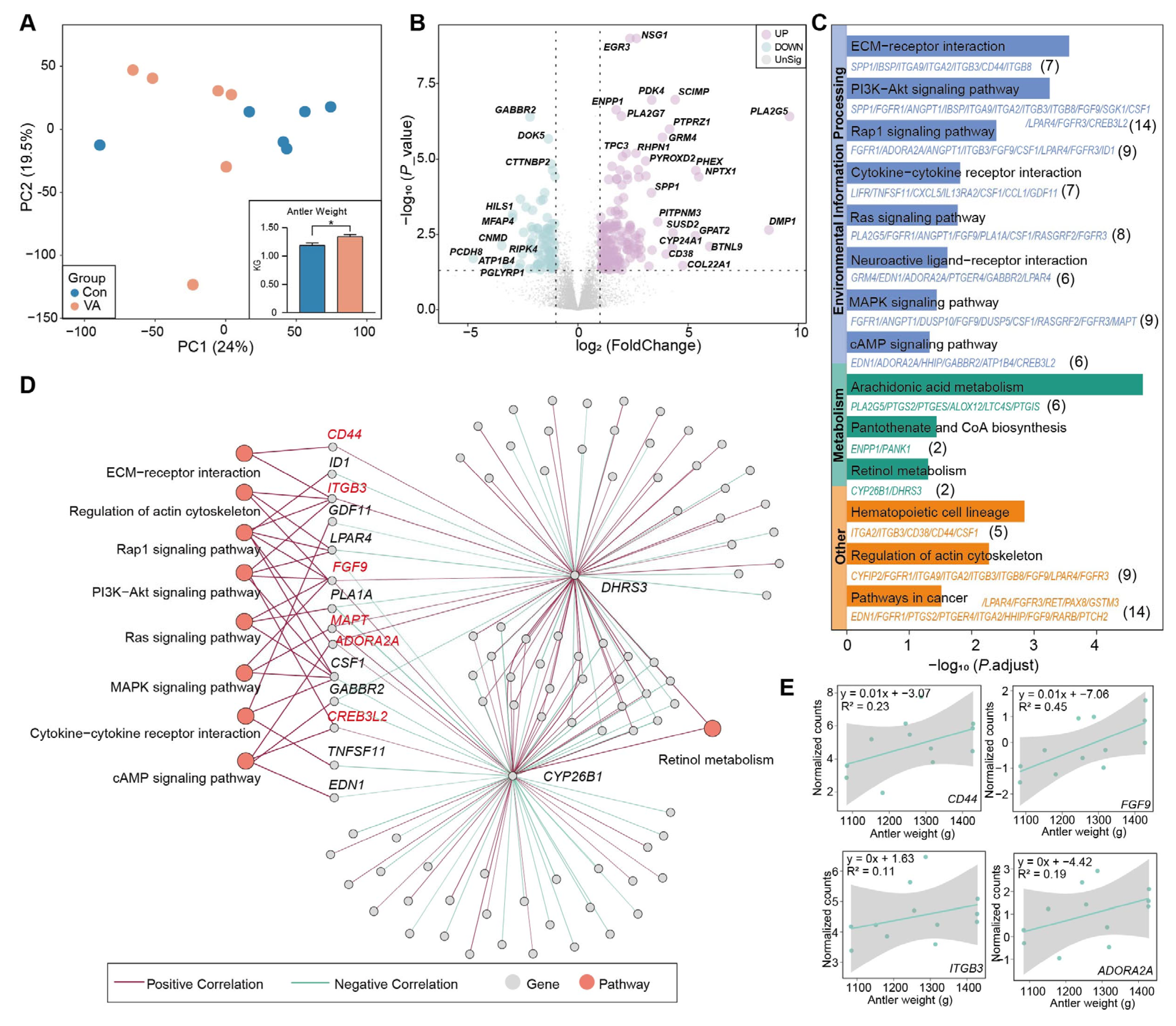 Animals 15 02879 g004