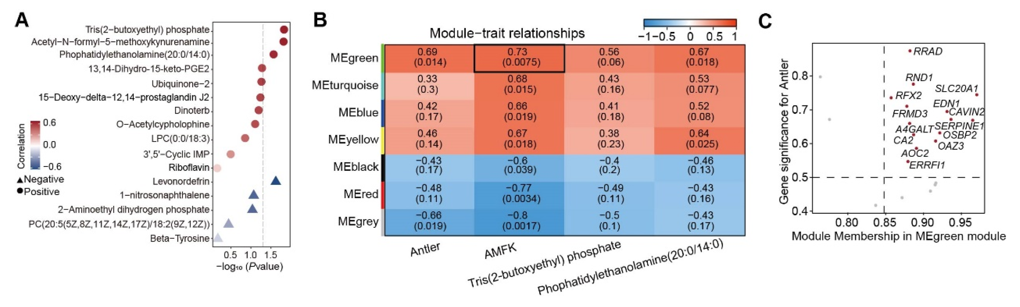 Animals 15 02879 g005