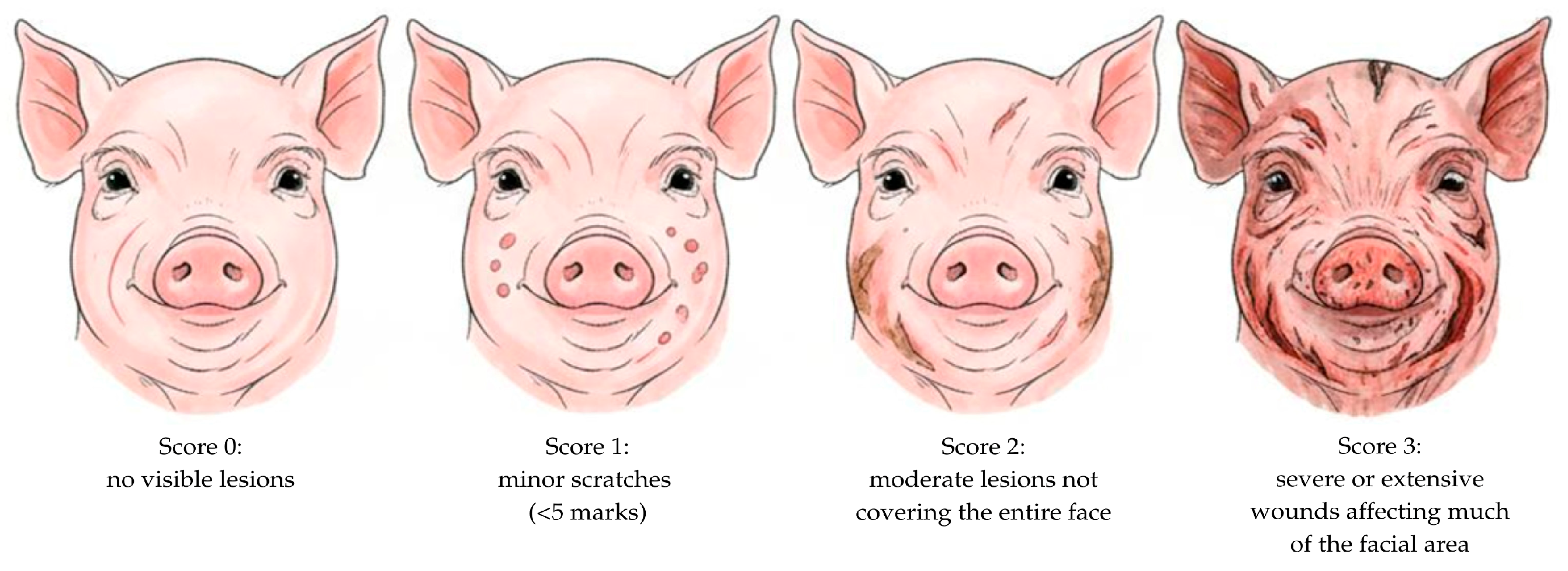 Animals 15 02881 g002 Animals 15 02881 g002