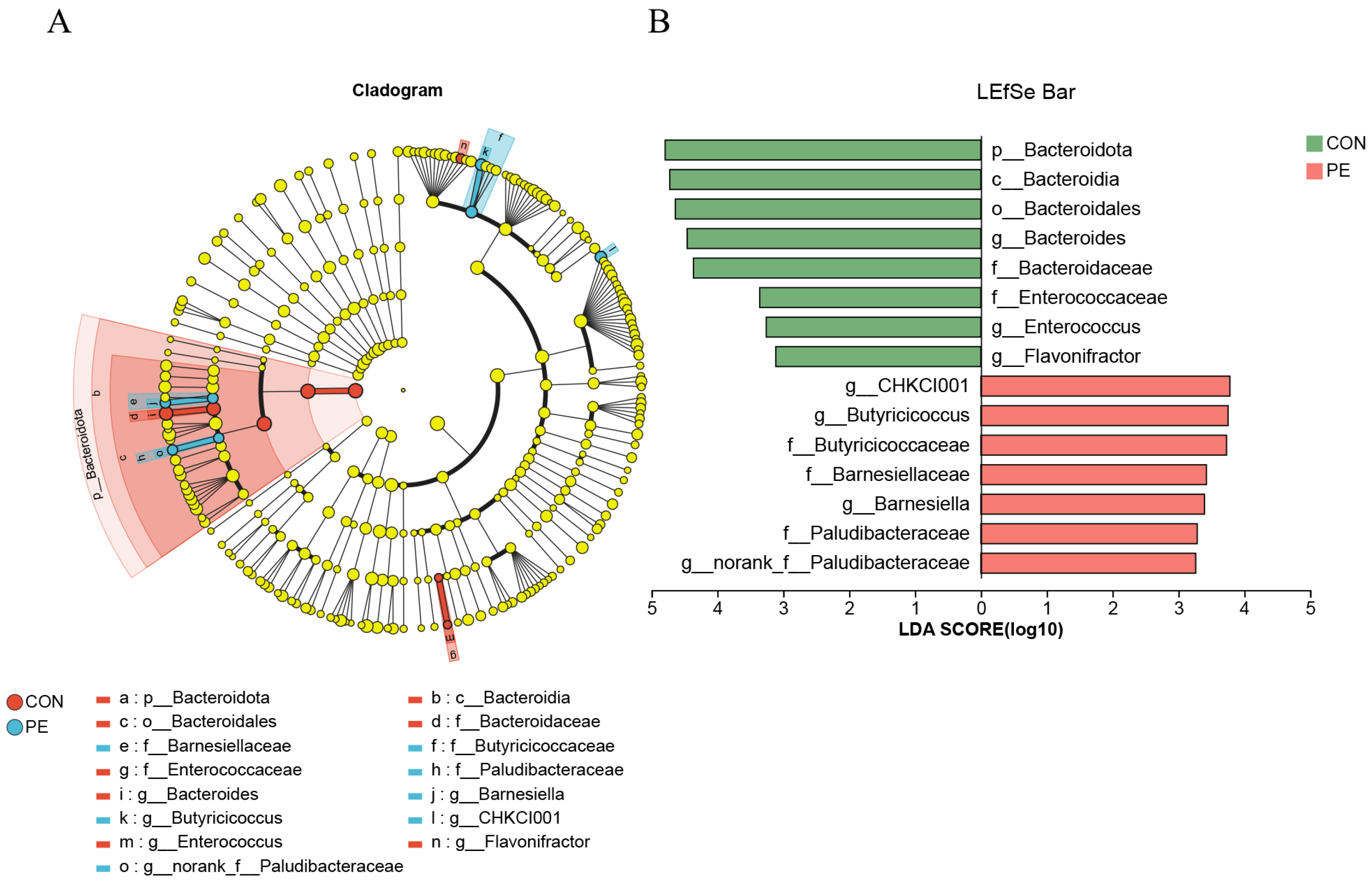 Animals 15 02882 g007 Animals 15 02882 g007