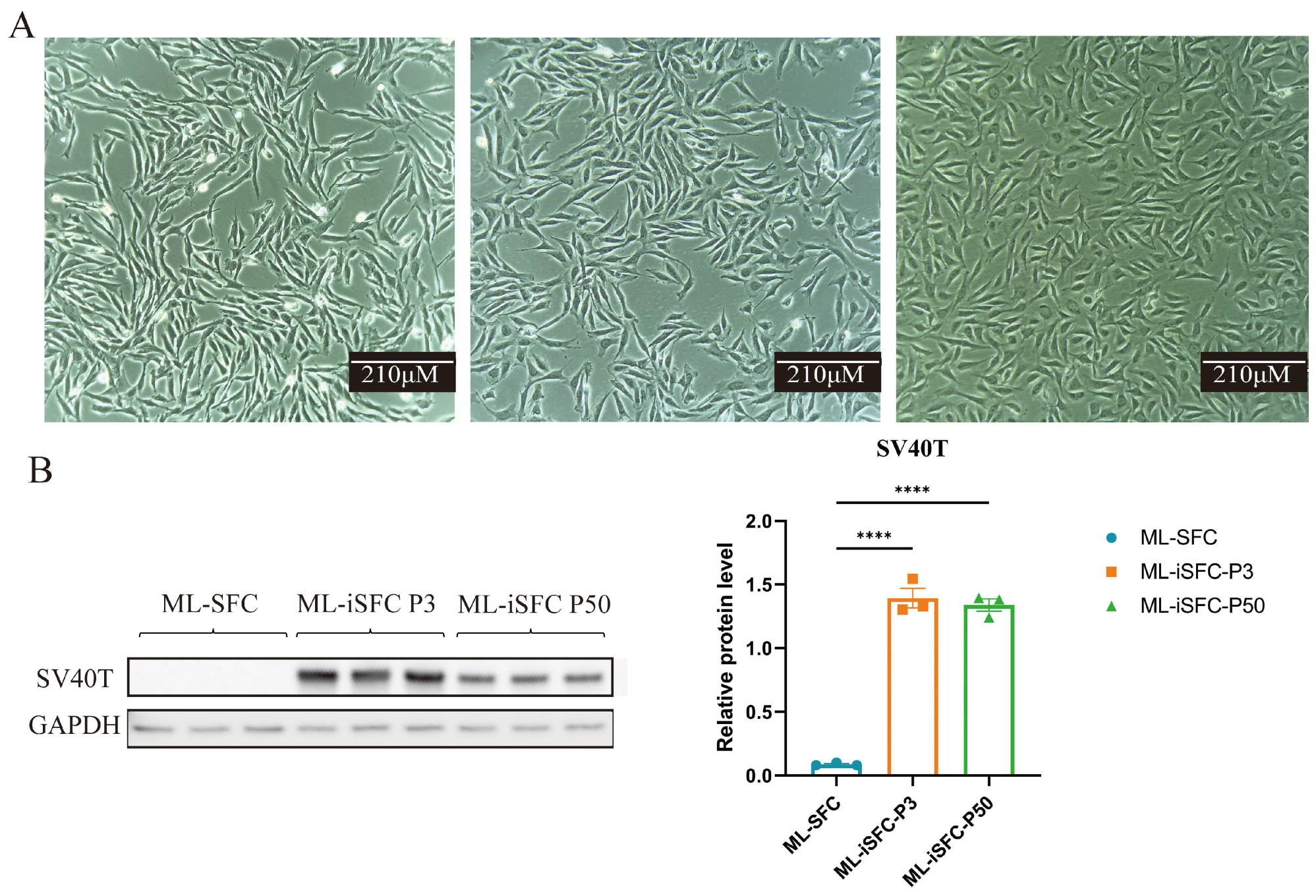 Animals 15 02889 g003 Animals 15 02889 g003