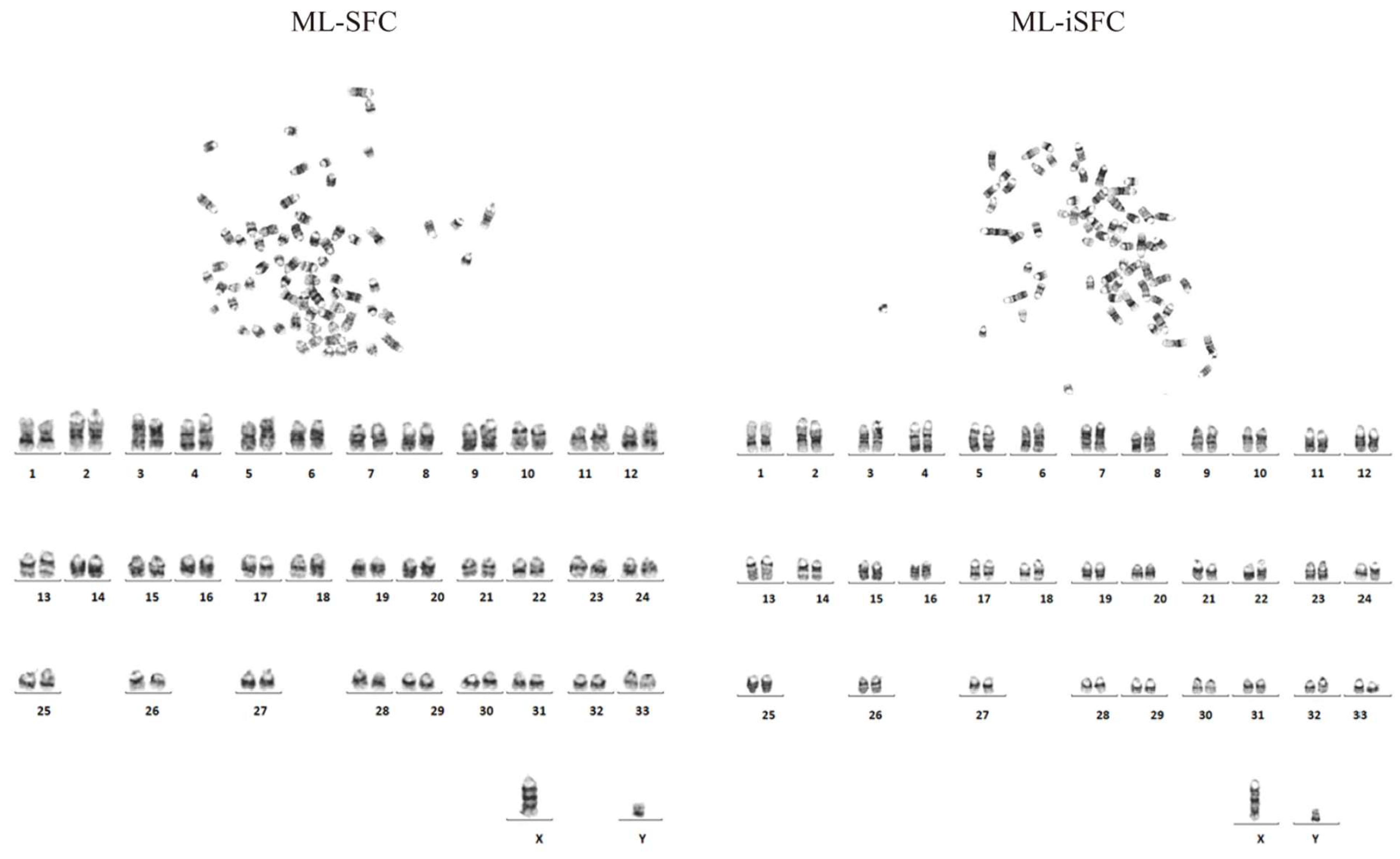 Animals 15 02889 g006 Animals 15 02889 g006