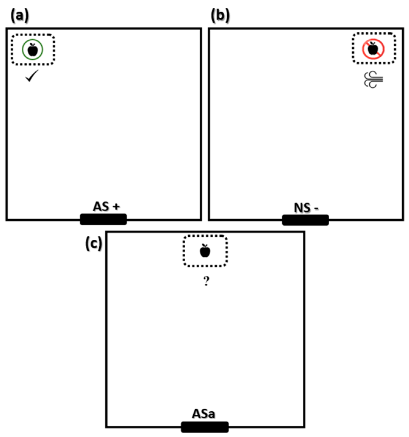 Animals 15 02893 g002