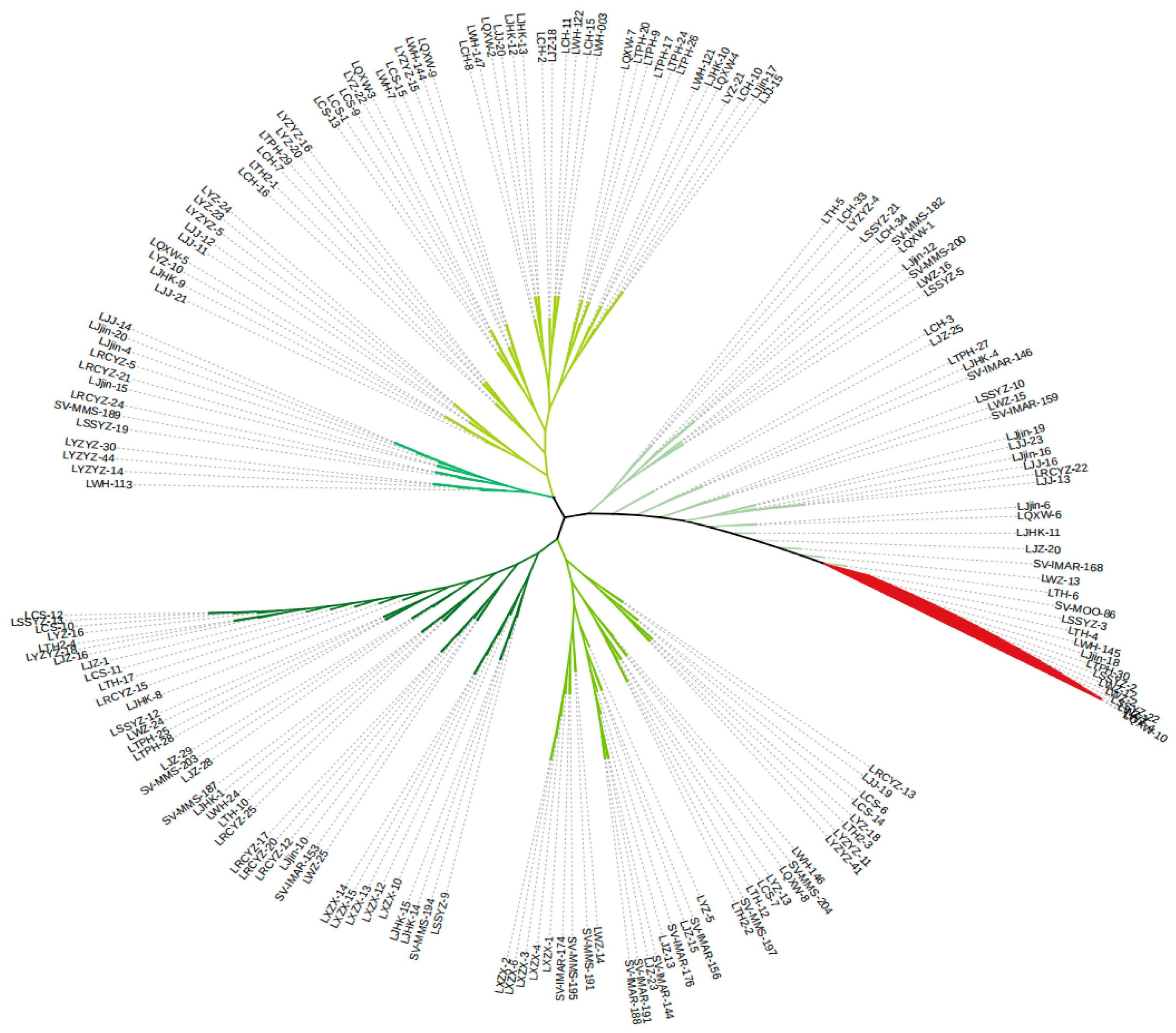 Animals 15 02906 g003 Animals 15 02906 g003