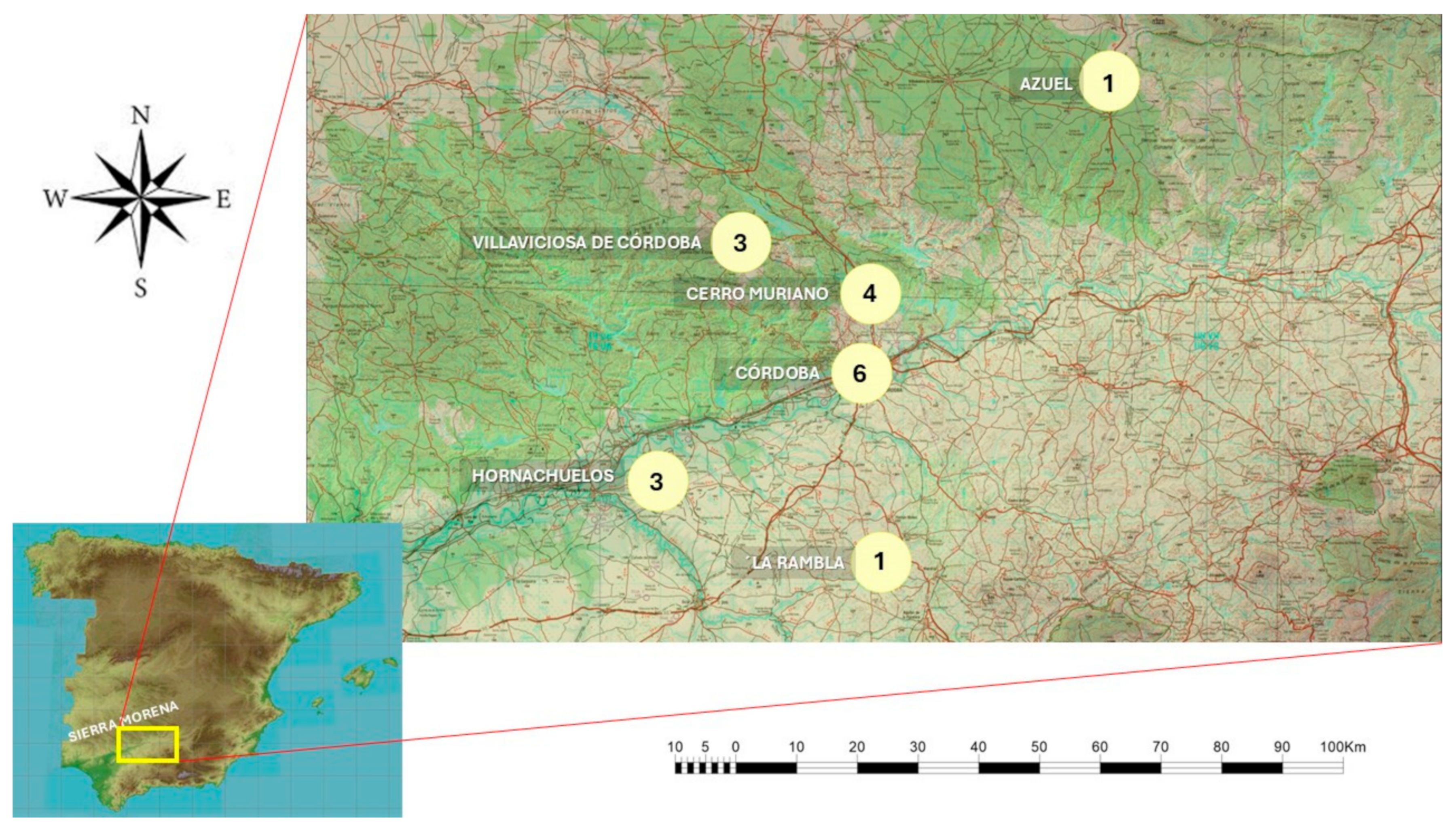 Animals 15 02908 g001 Animals 15 02908 g001