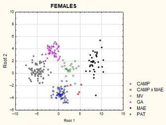 Animals 15 02908 g004b Animals 15 02908 g004b