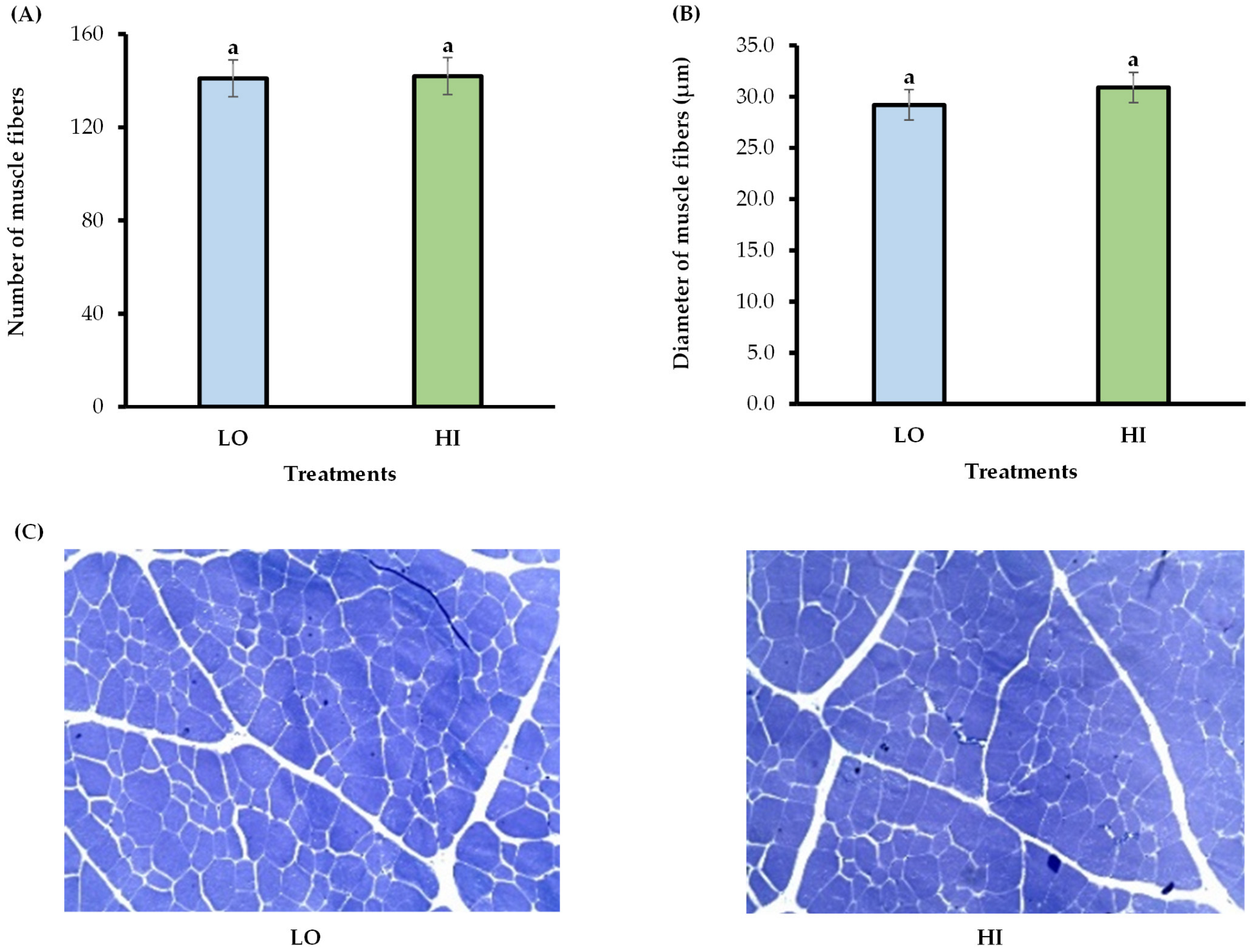 Animals 15 02913 g001