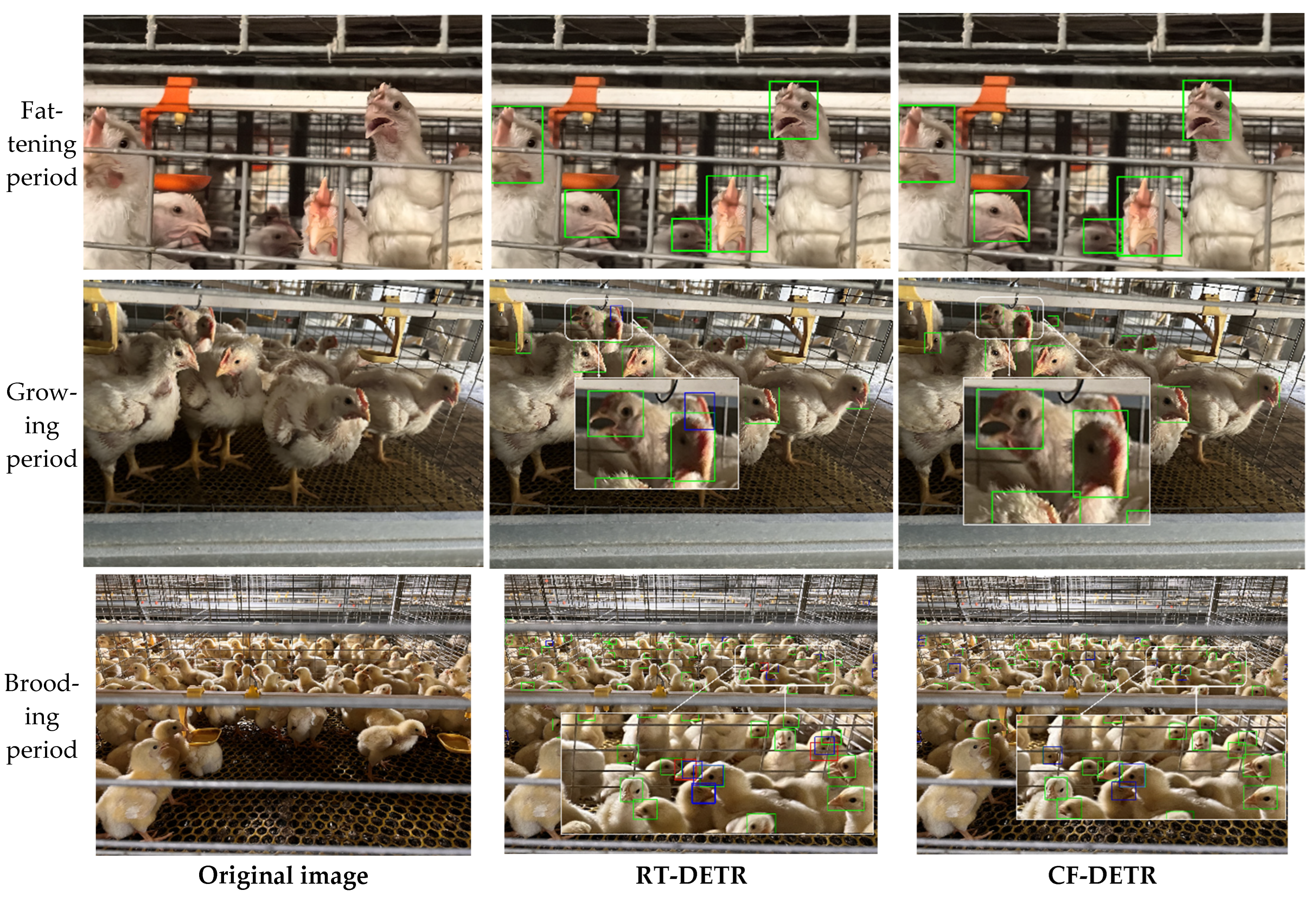 Animals 15 02919 g009