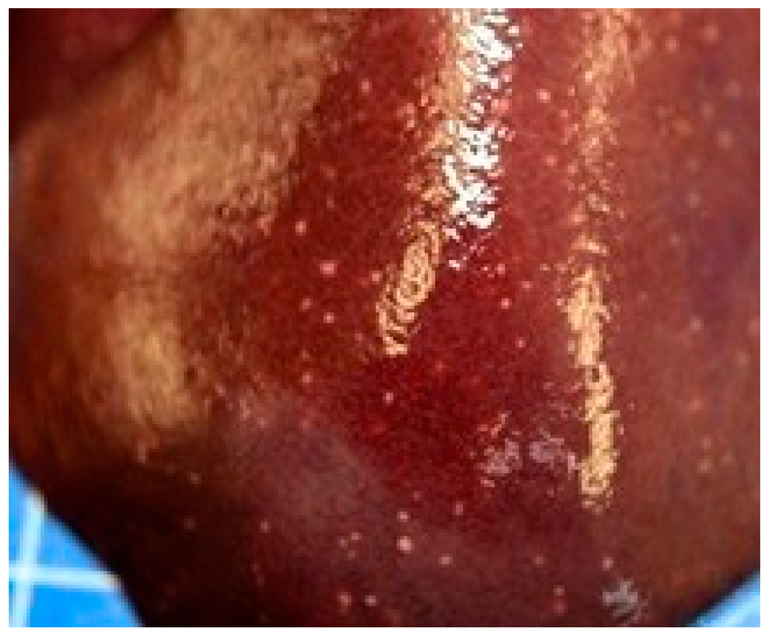 Animals 15 02920 g002