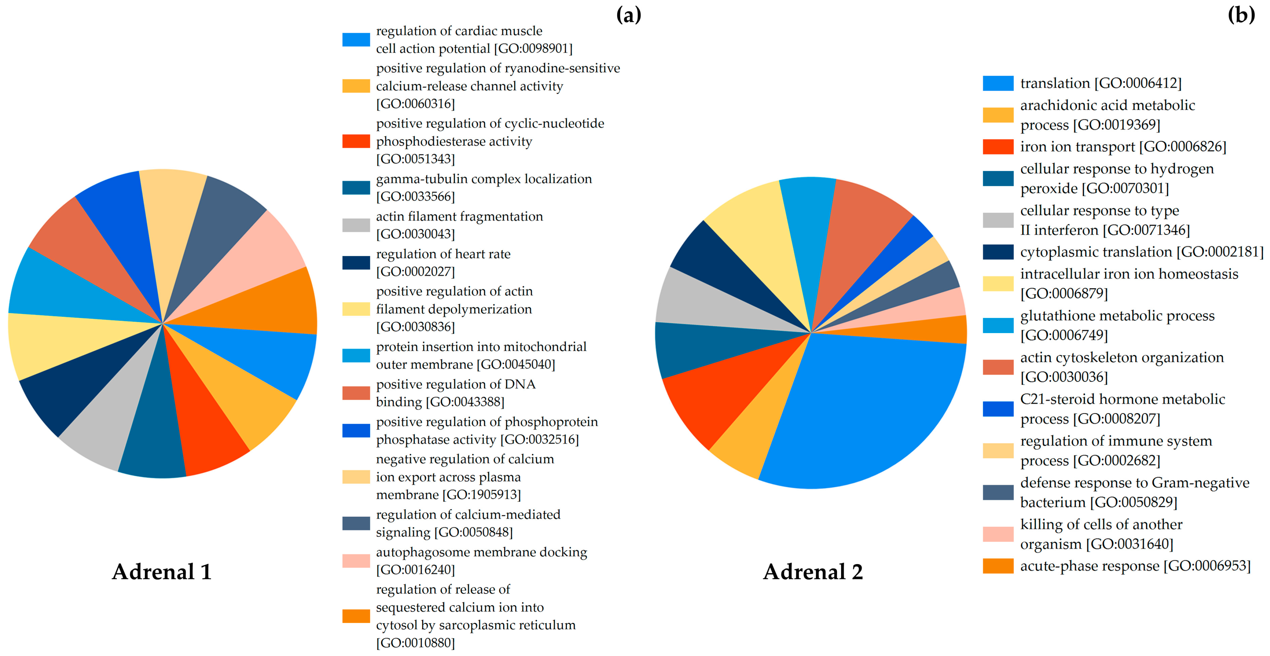 Animals 15 02924 g005