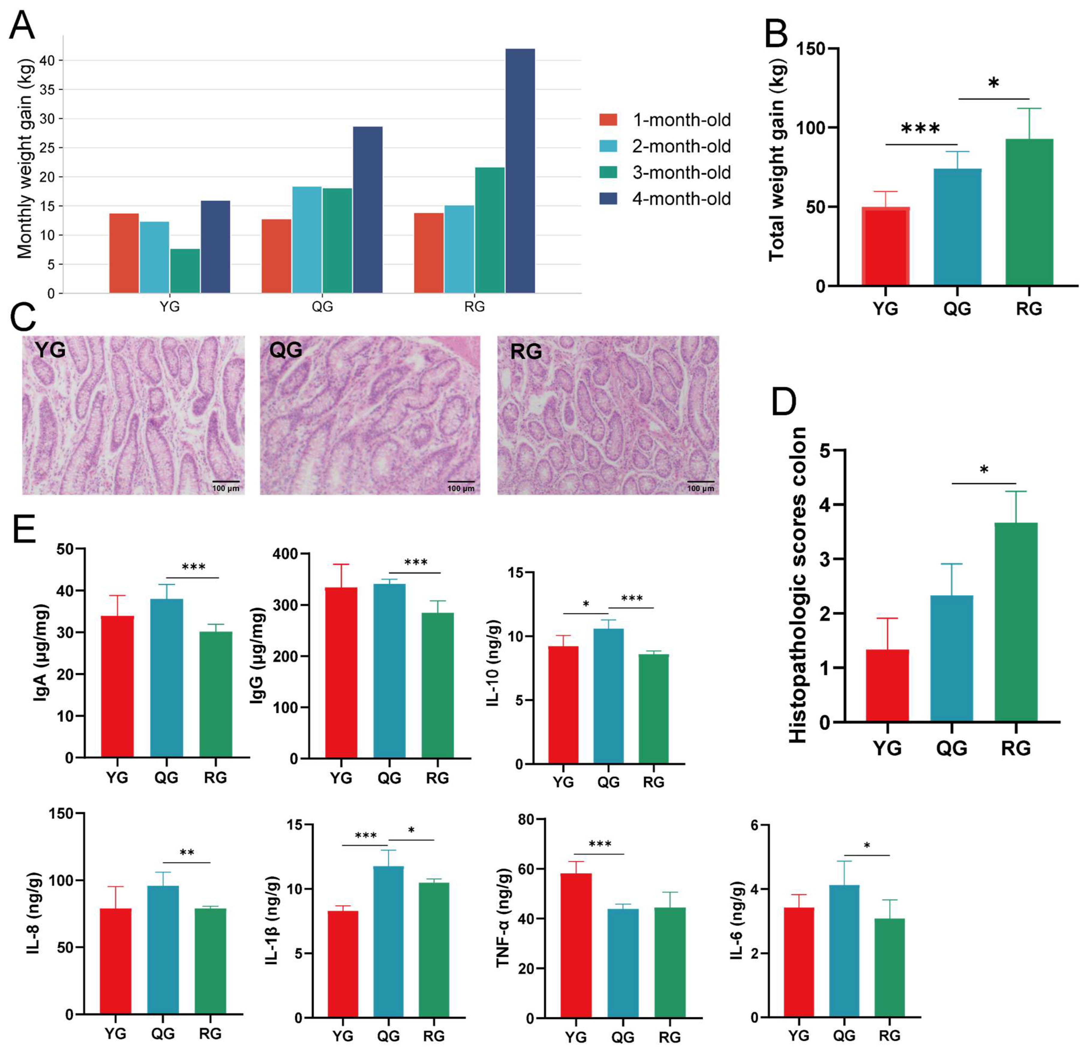 Animals 15 02929 g001