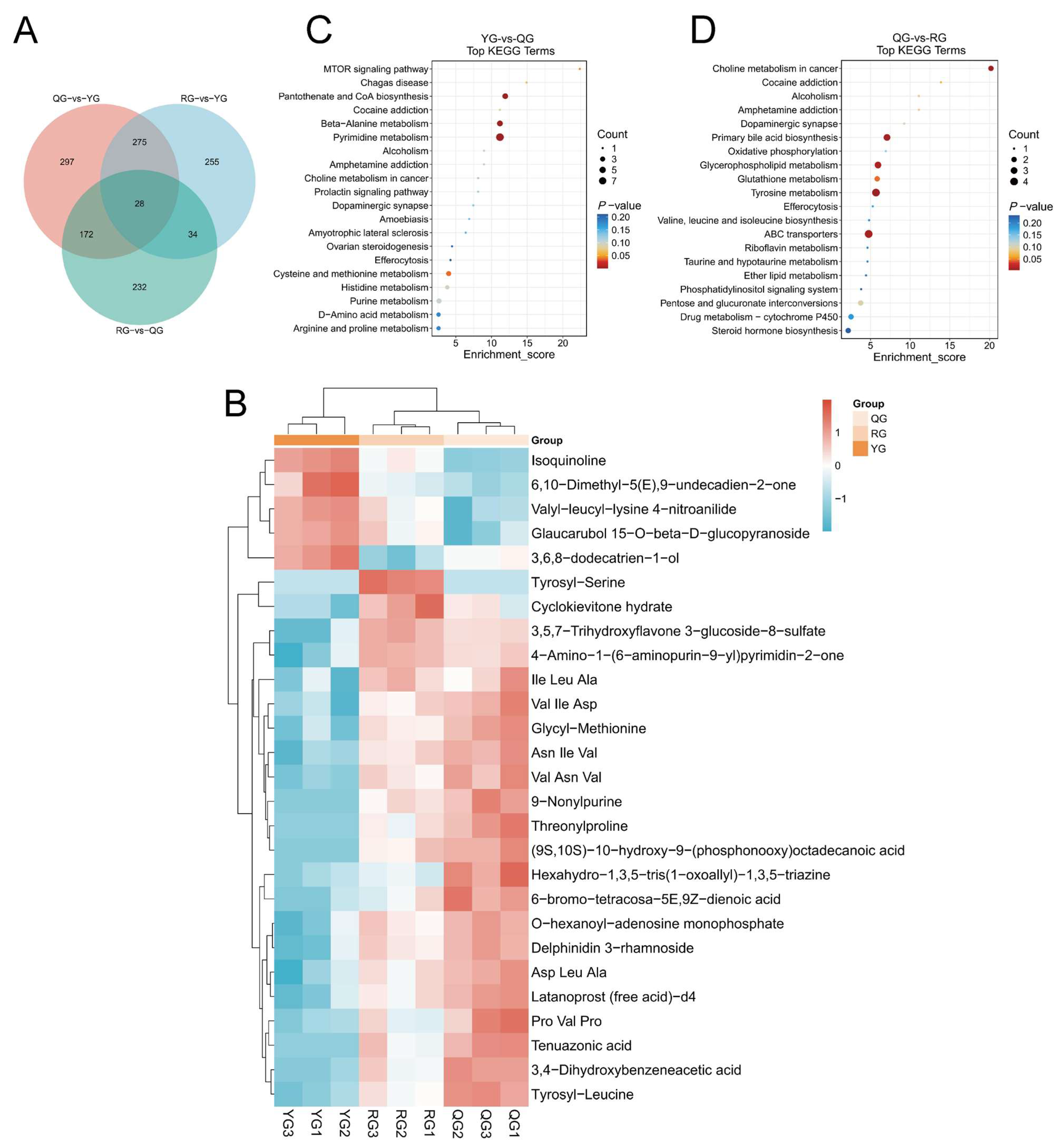 Animals 15 02929 g007