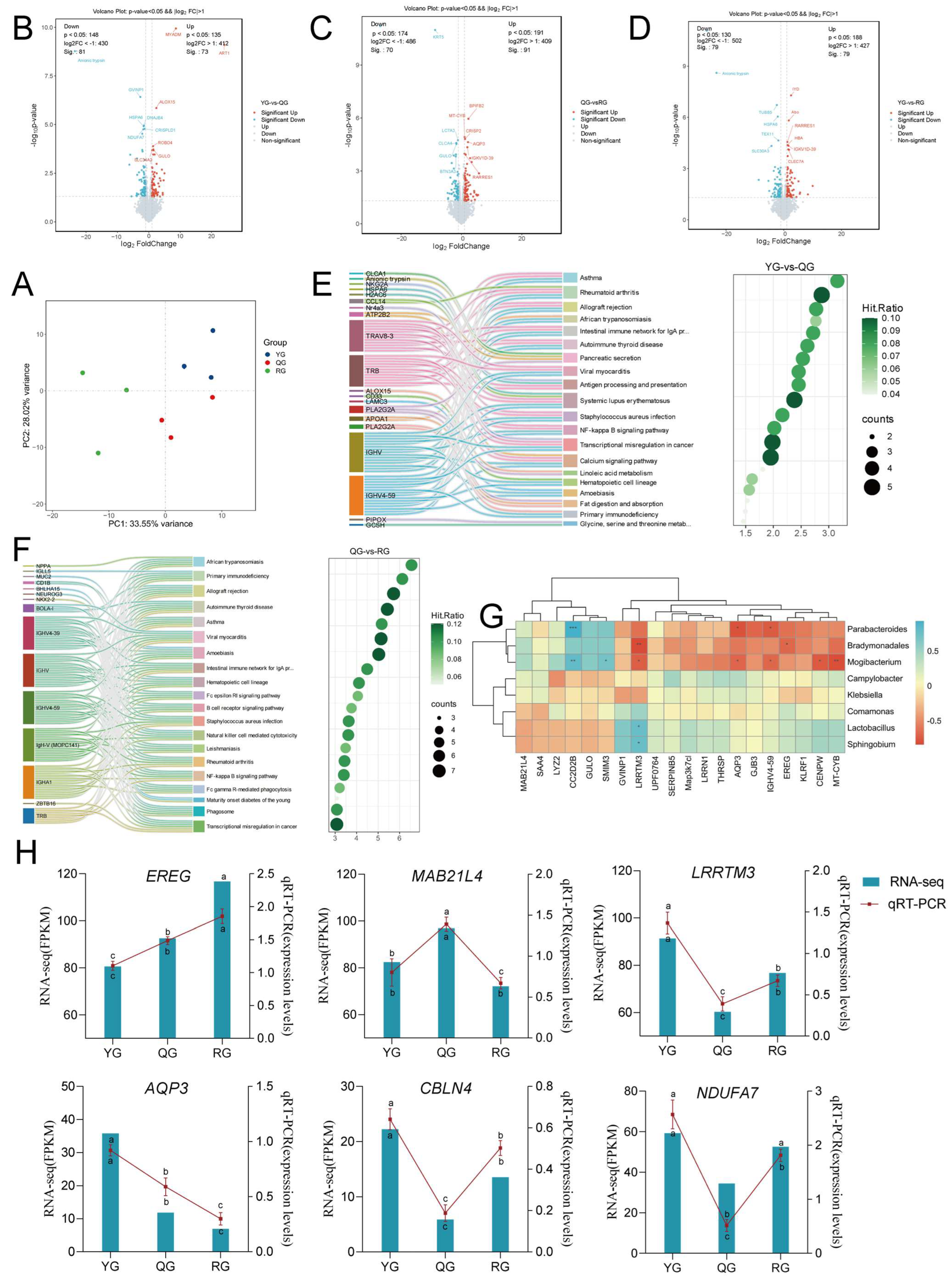 Animals 15 02929 g009