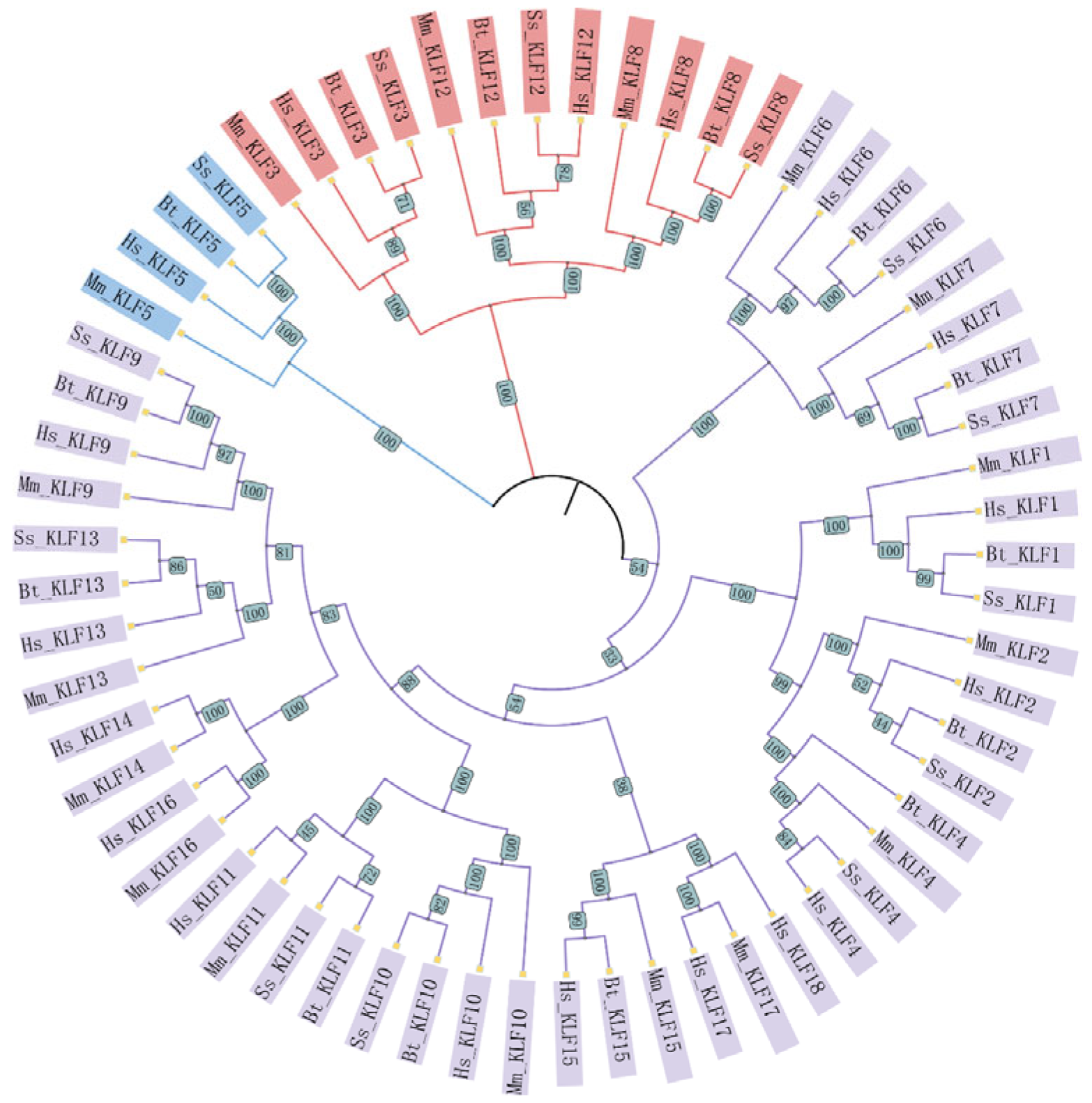 Animals 15 02930 g001 Animals 15 02930 g001