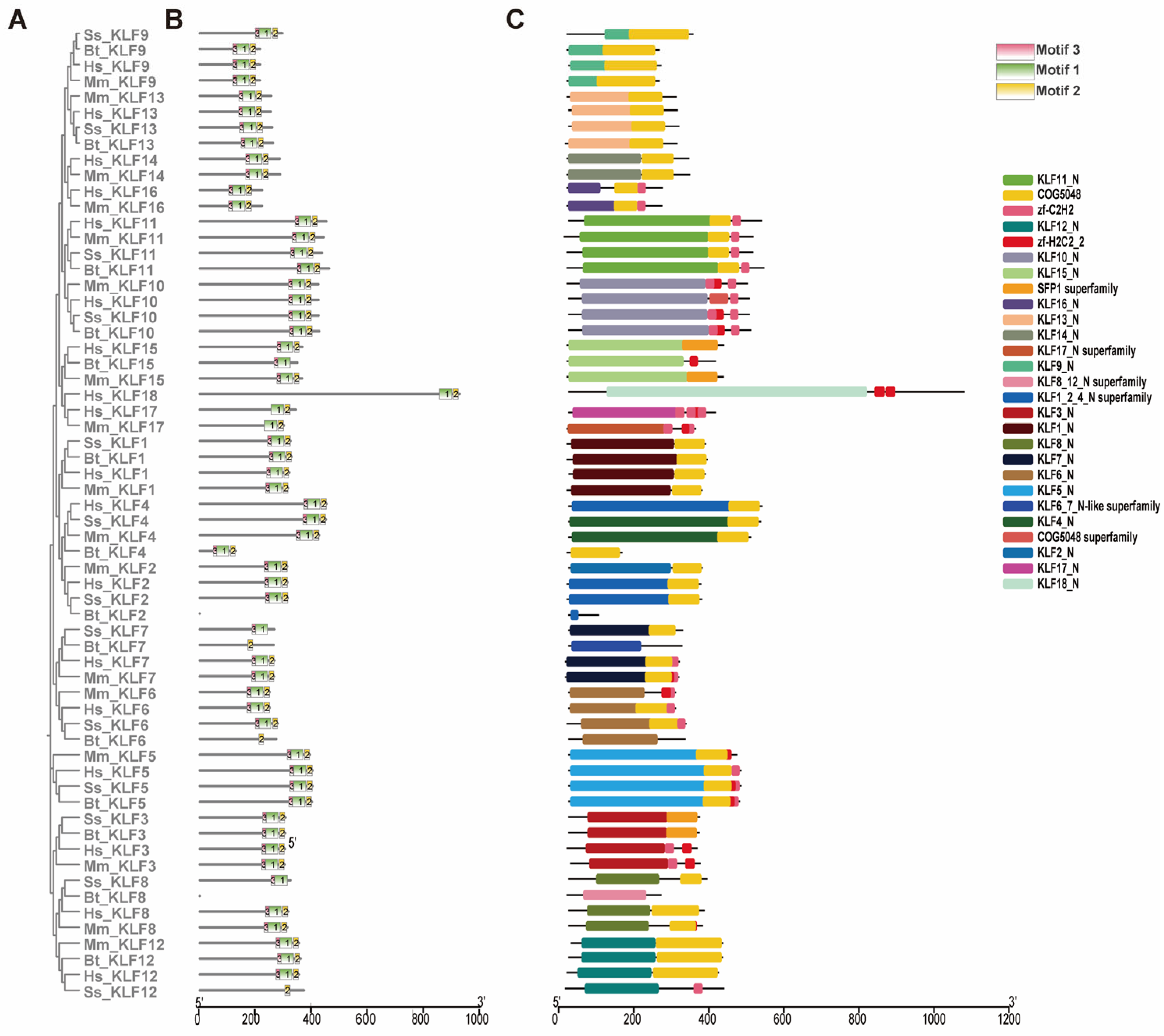 Animals 15 02930 g003 Animals 15 02930 g003