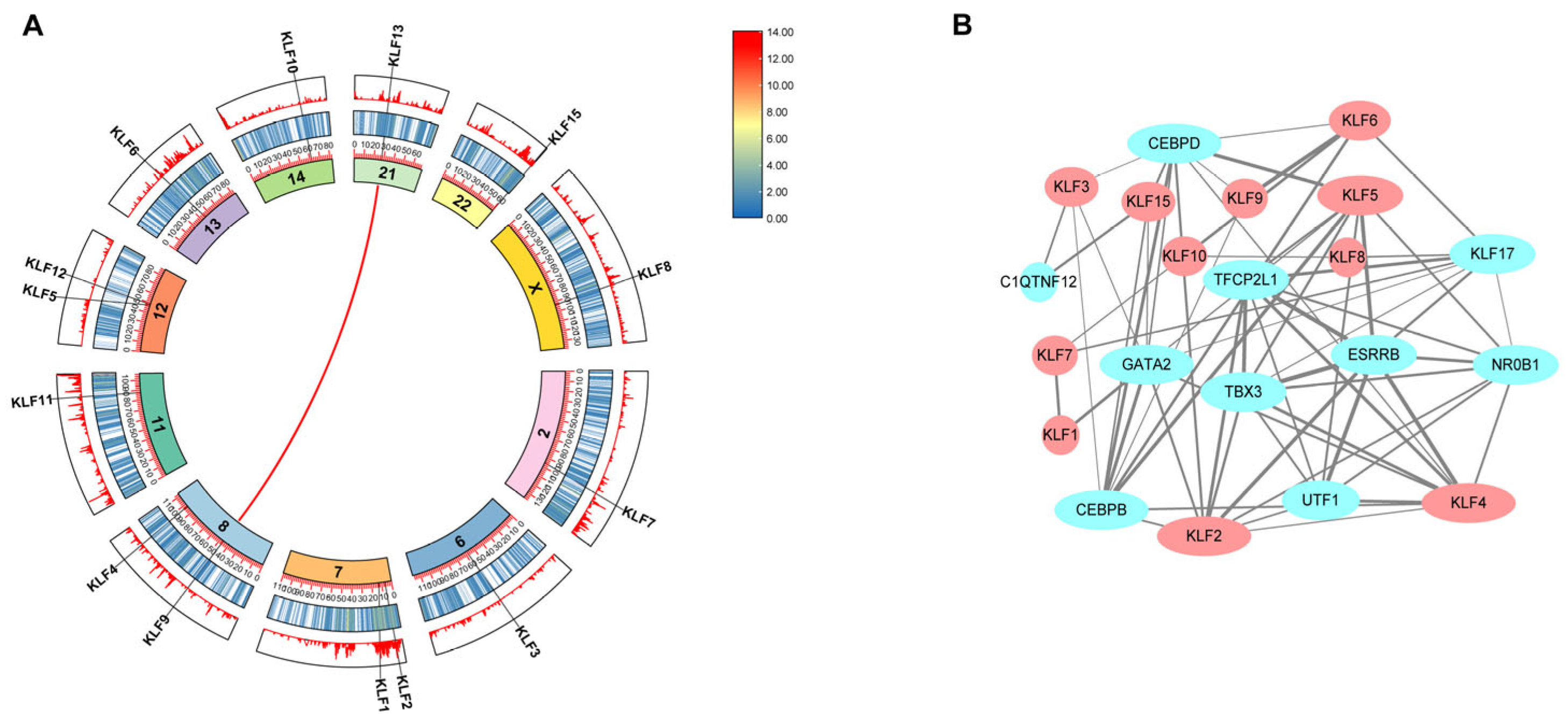 Animals 15 02930 g004 Animals 15 02930 g004