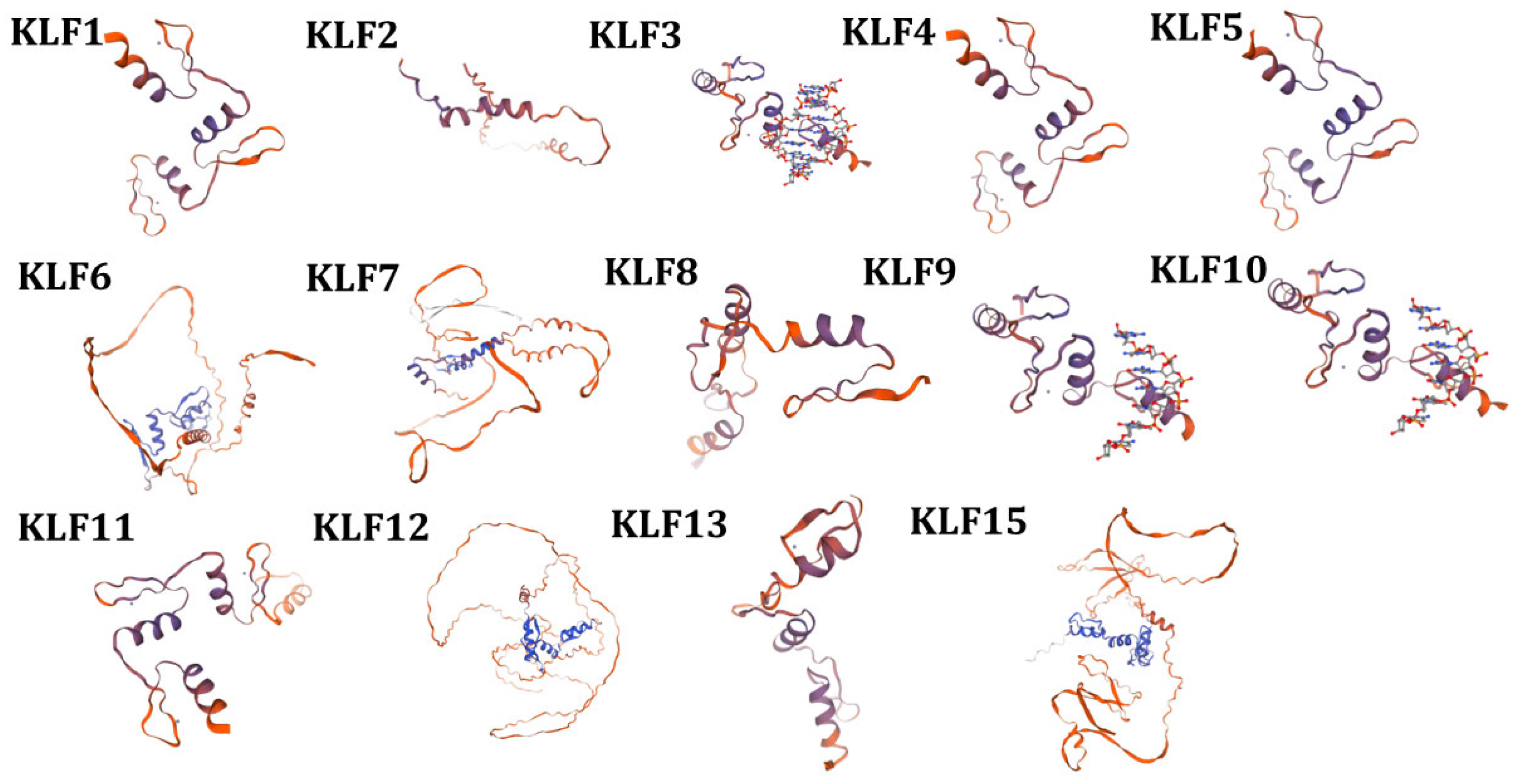 Animals 15 02930 g005 Animals 15 02930 g005