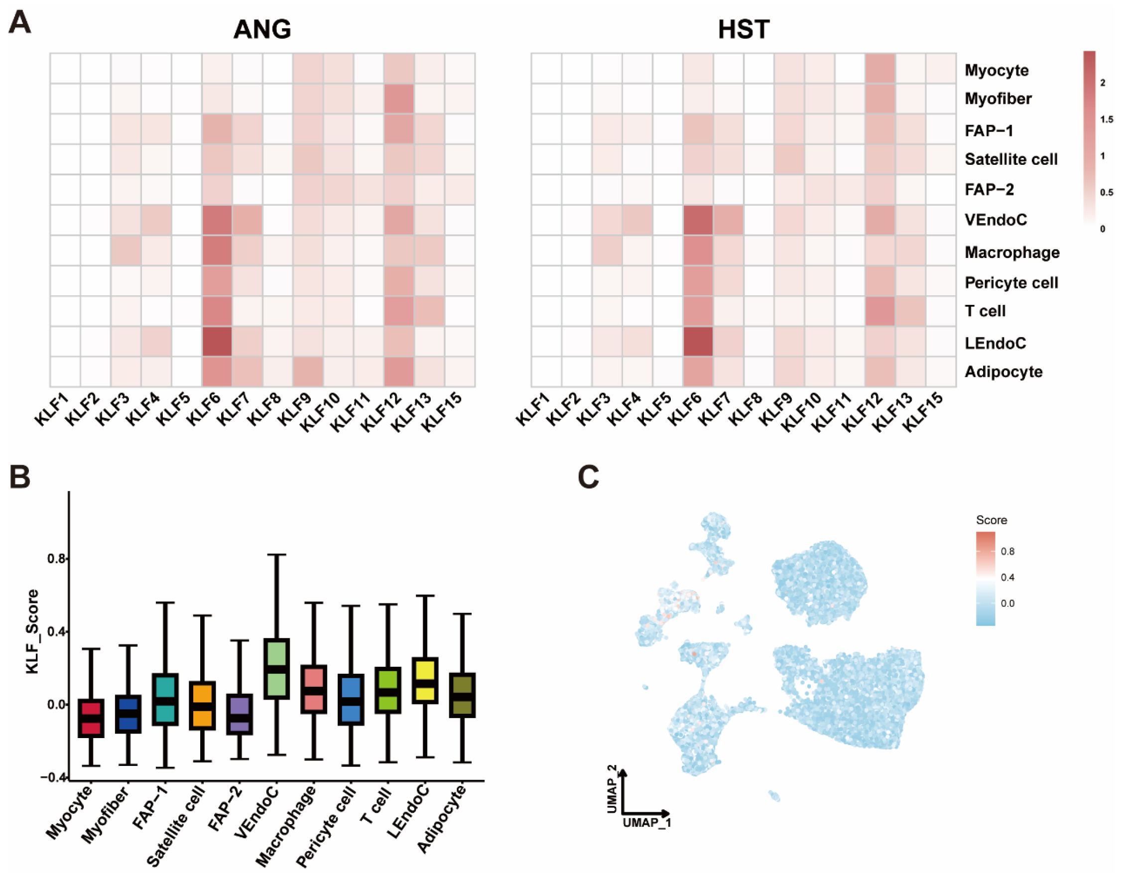 Animals 15 02930 g008 Animals 15 02930 g008
