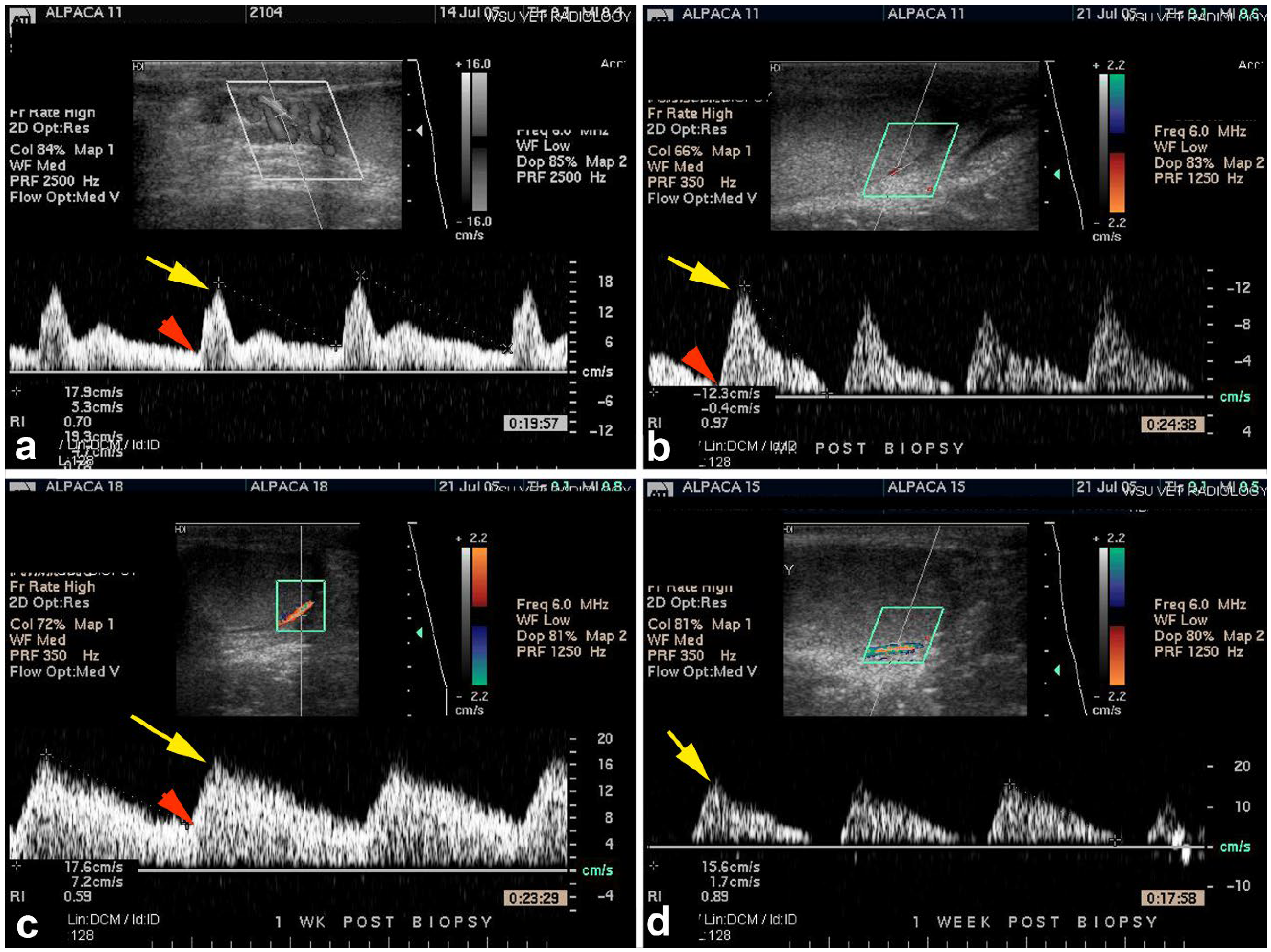 Animals 15 02931 g004