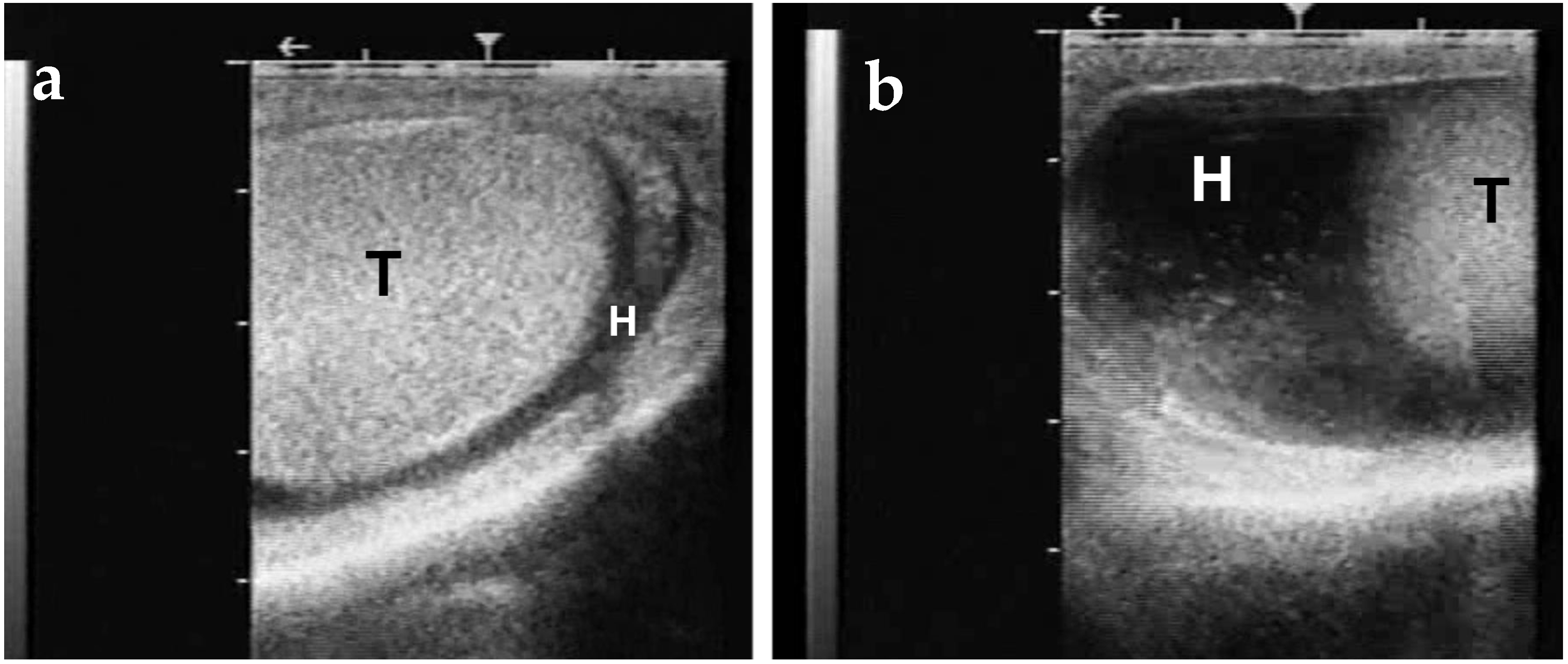 Animals 15 02931 g015