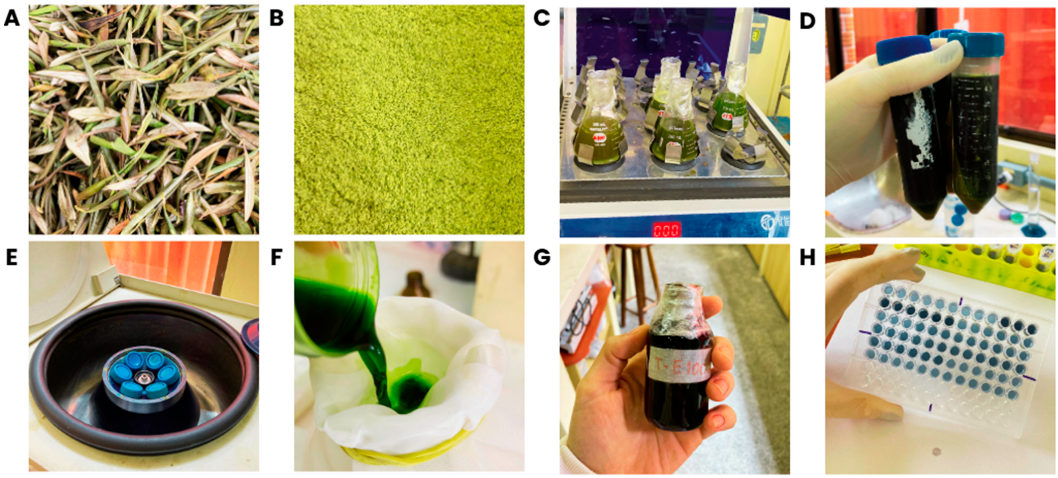 Animals 15 02935 g001