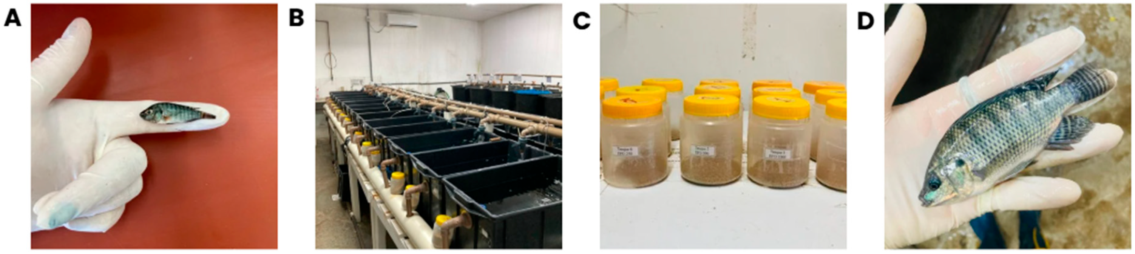 Animals 15 02935 g002