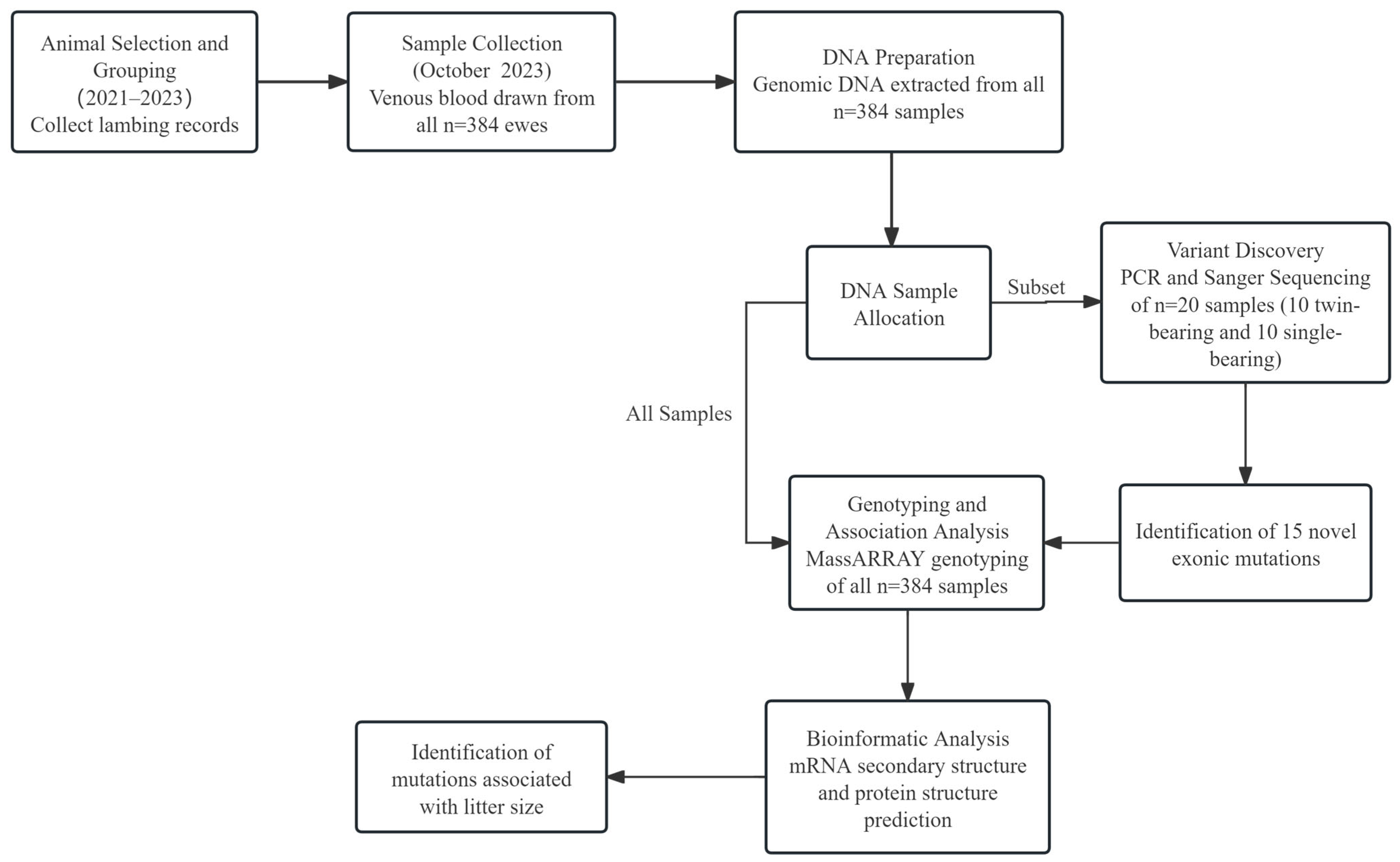 Animals 15 02936 g001 Animals 15 02936 g001