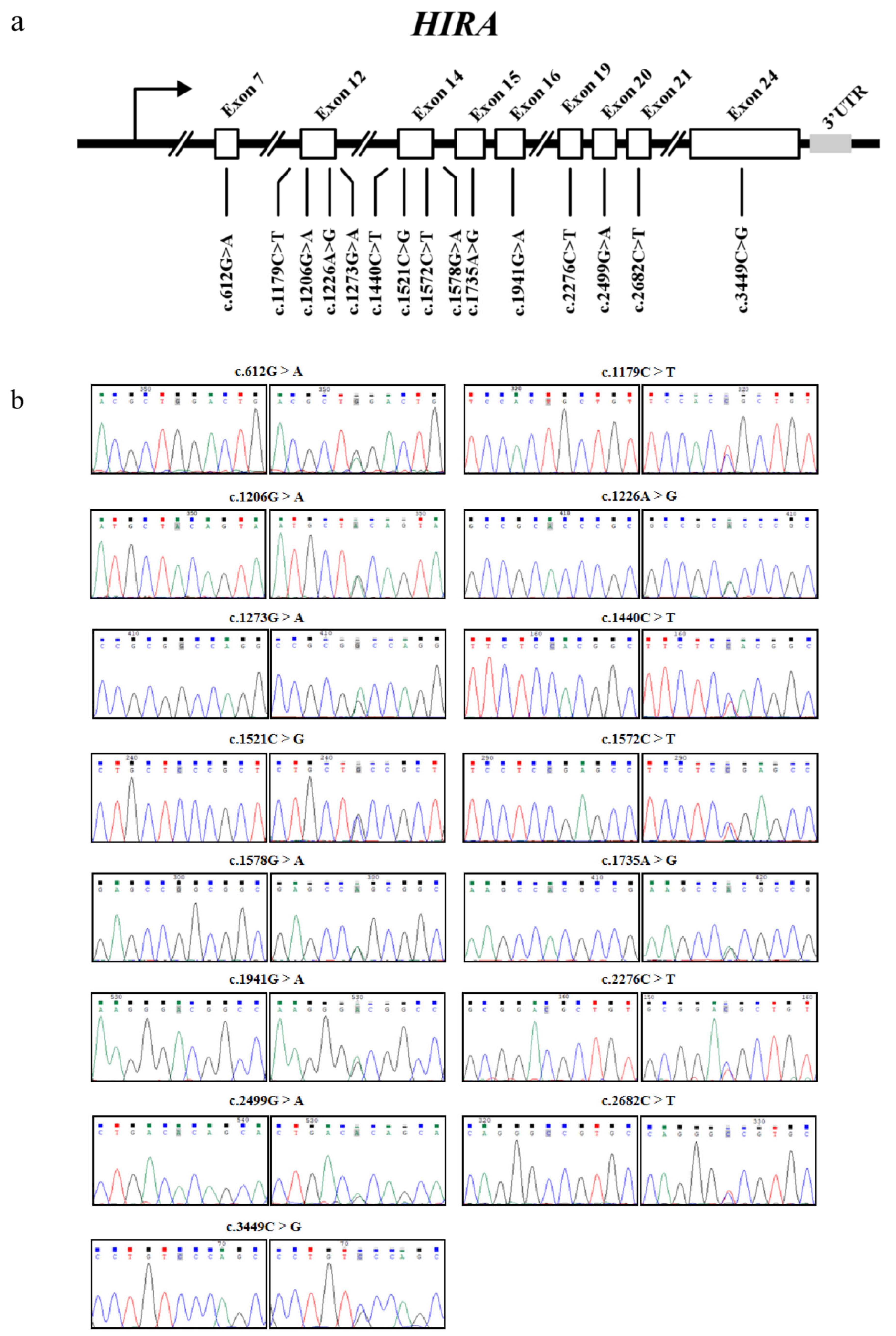 Animals 15 02936 g002 Animals 15 02936 g002