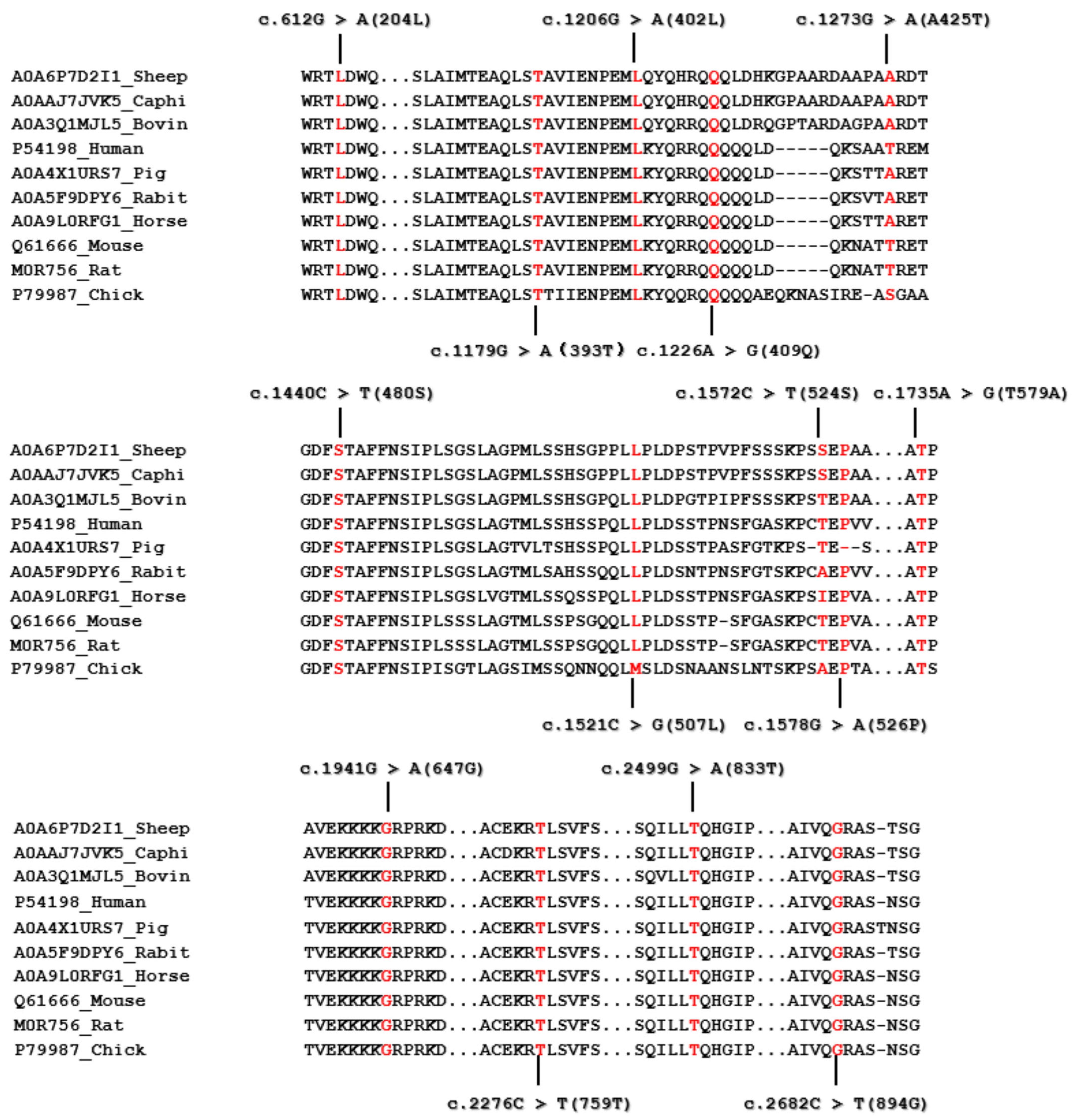 Animals 15 02936 g003 Animals 15 02936 g003
