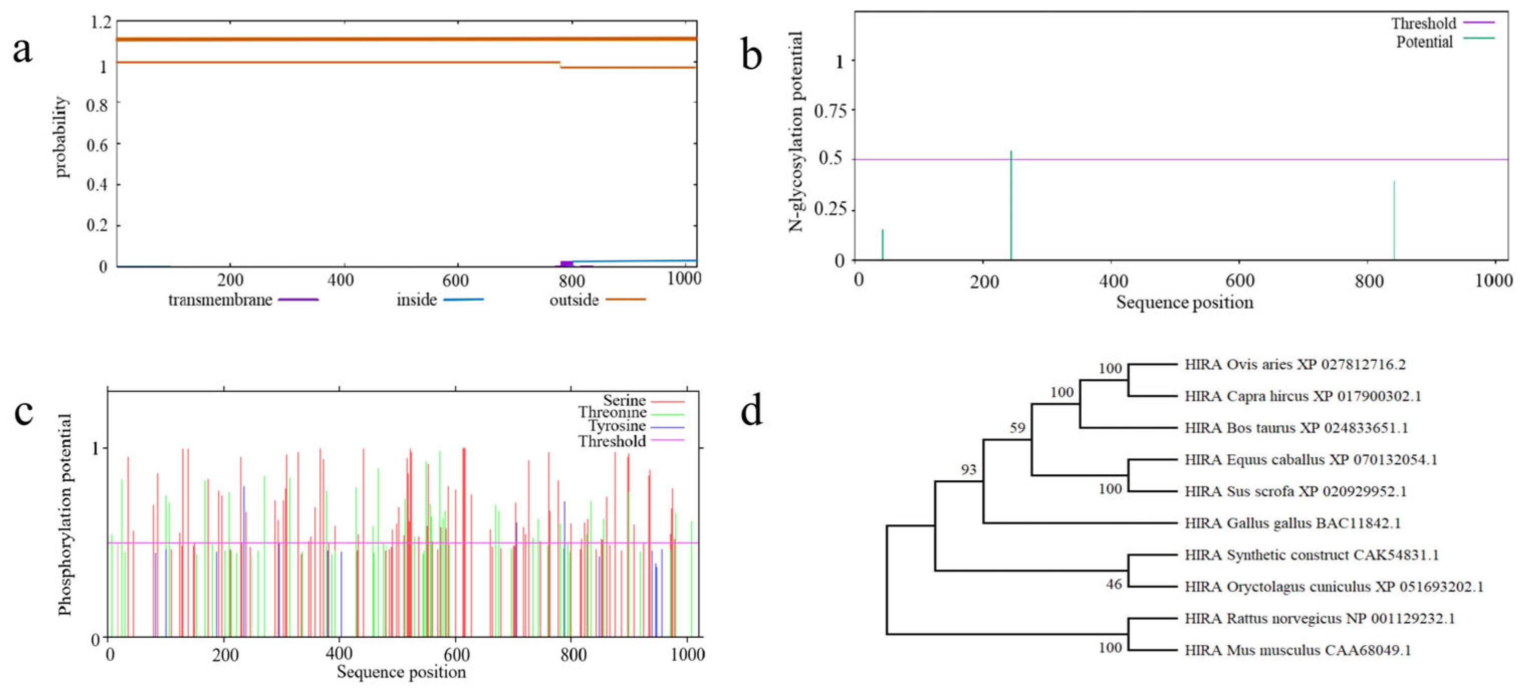 Animals 15 02936 g006 Animals 15 02936 g006