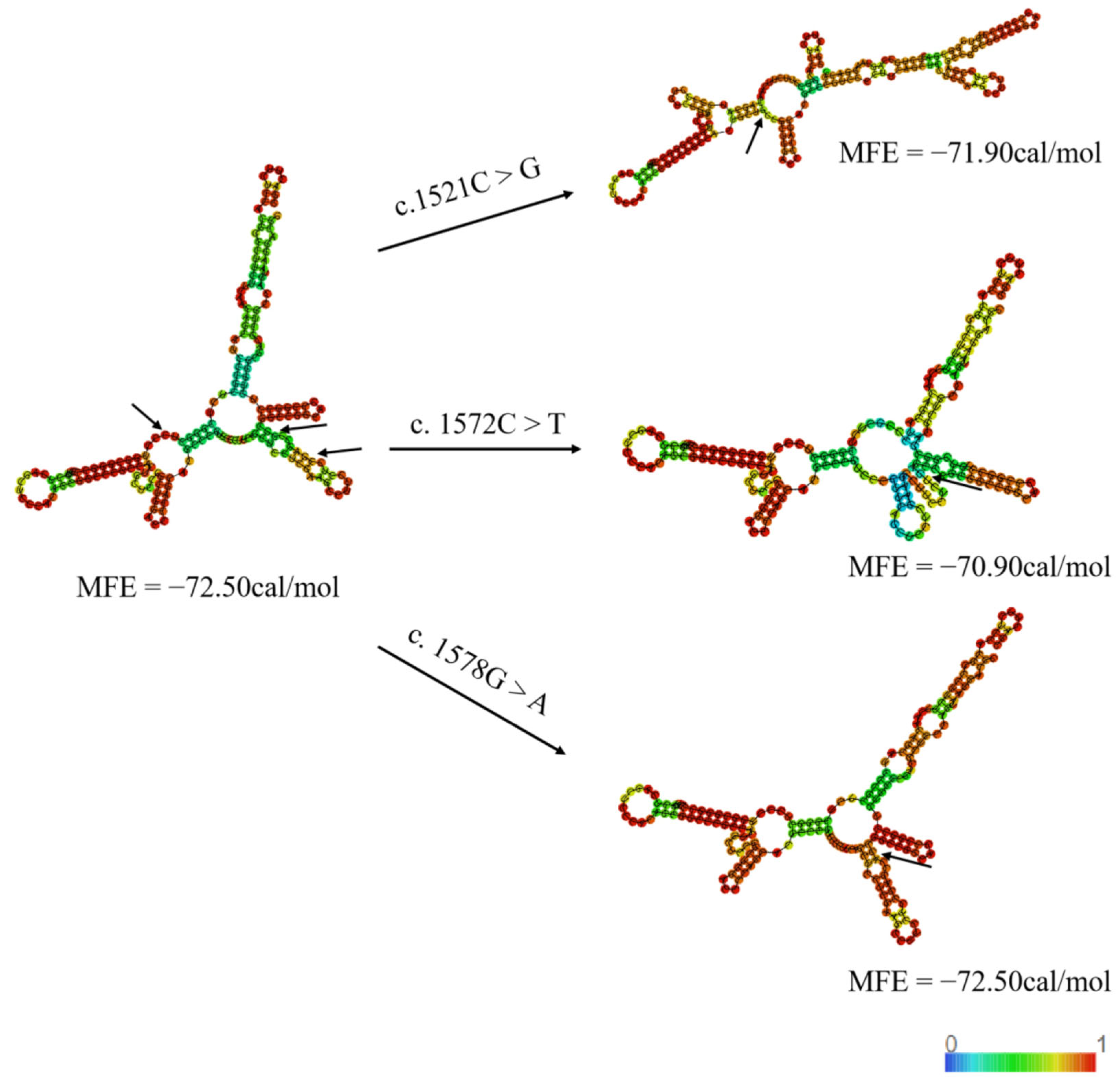 Animals 15 02936 g007 Animals 15 02936 g007