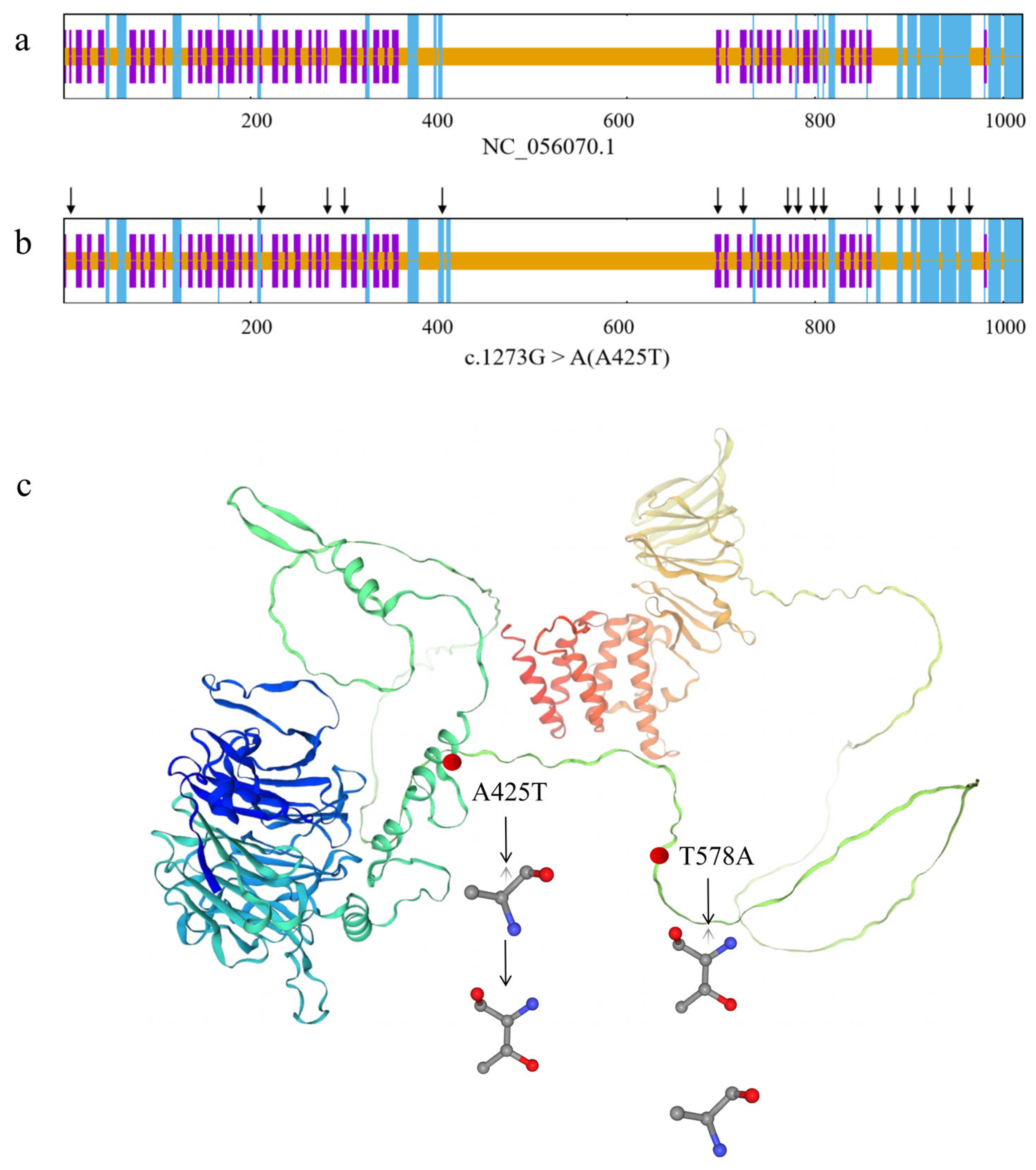 Animals 15 02936 g008 Animals 15 02936 g008