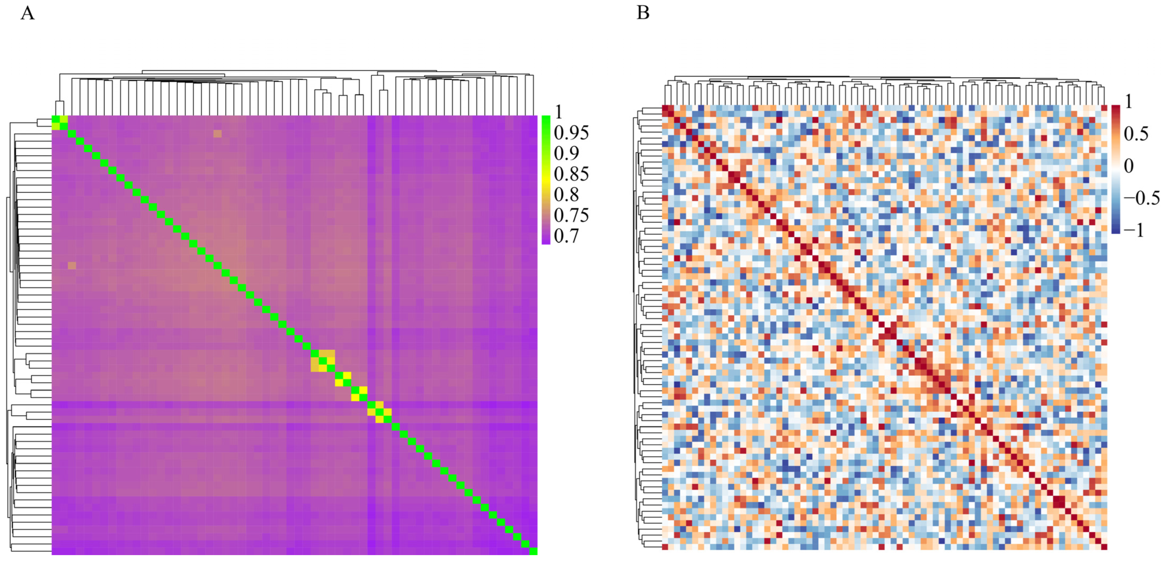 Animals 15 02937 g005 Animals 15 02937 g005