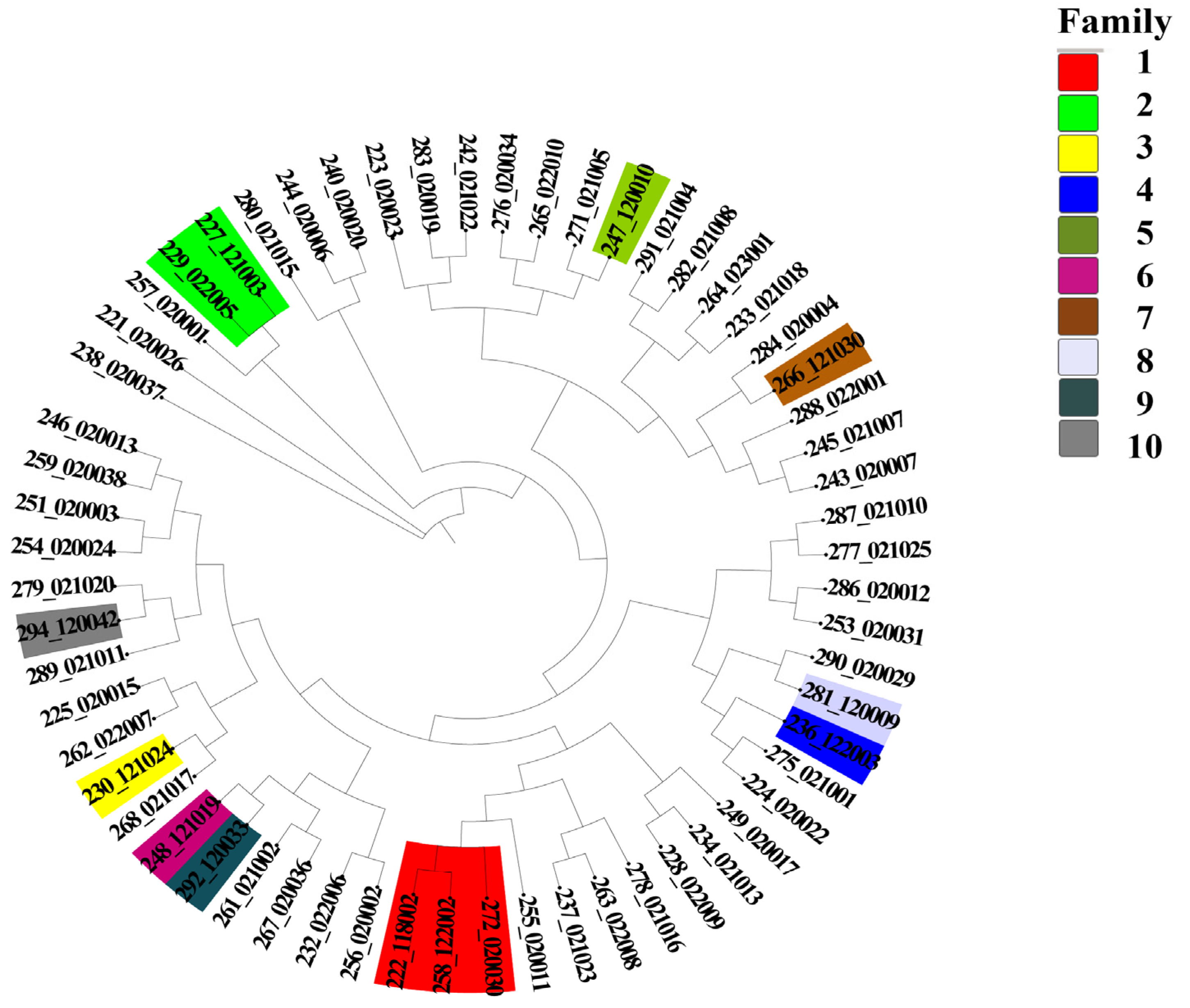 Animals 15 02937 g008 Animals 15 02937 g008