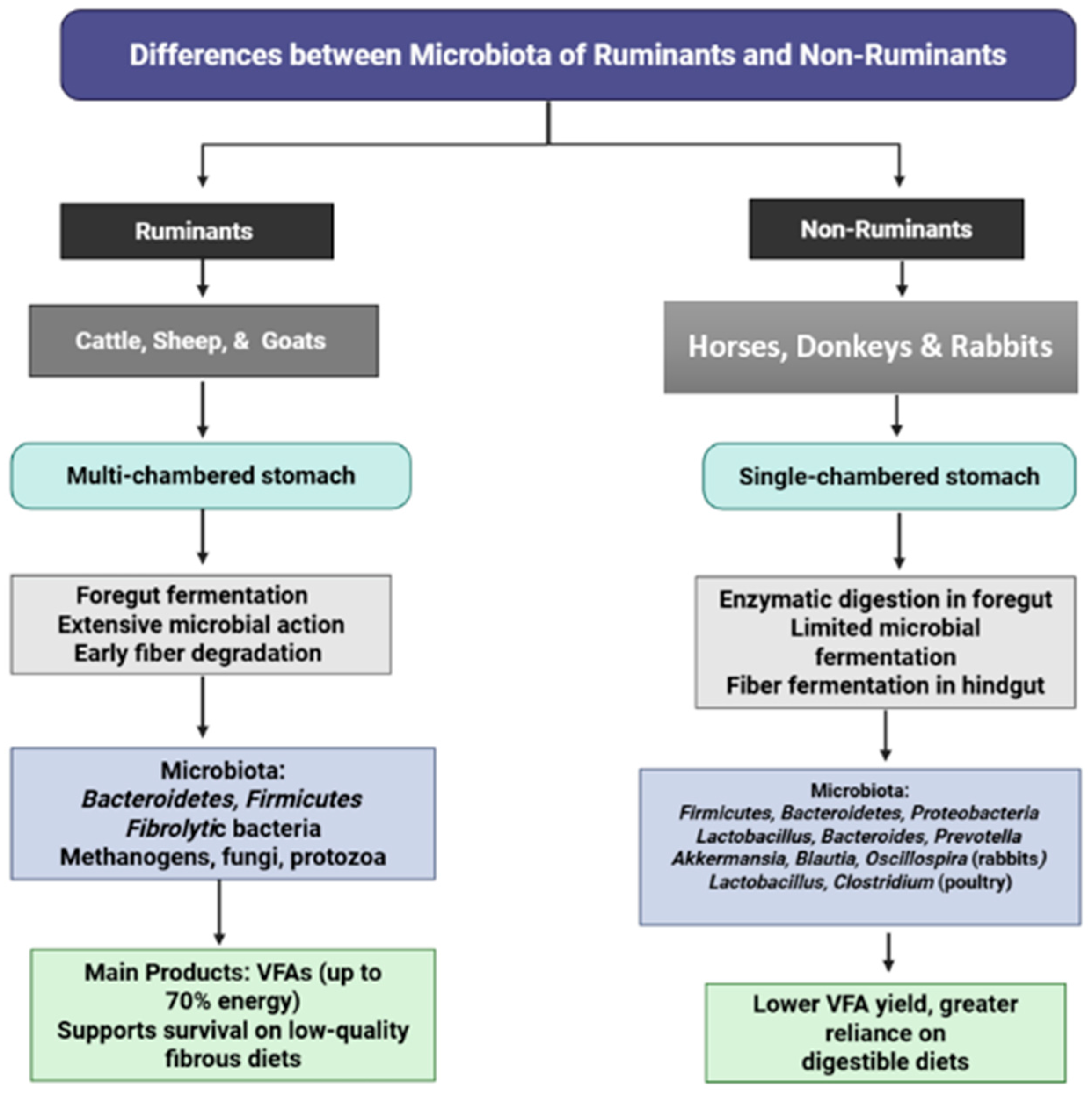 Animals 15 02938 g003 Animals 15 02938 g003