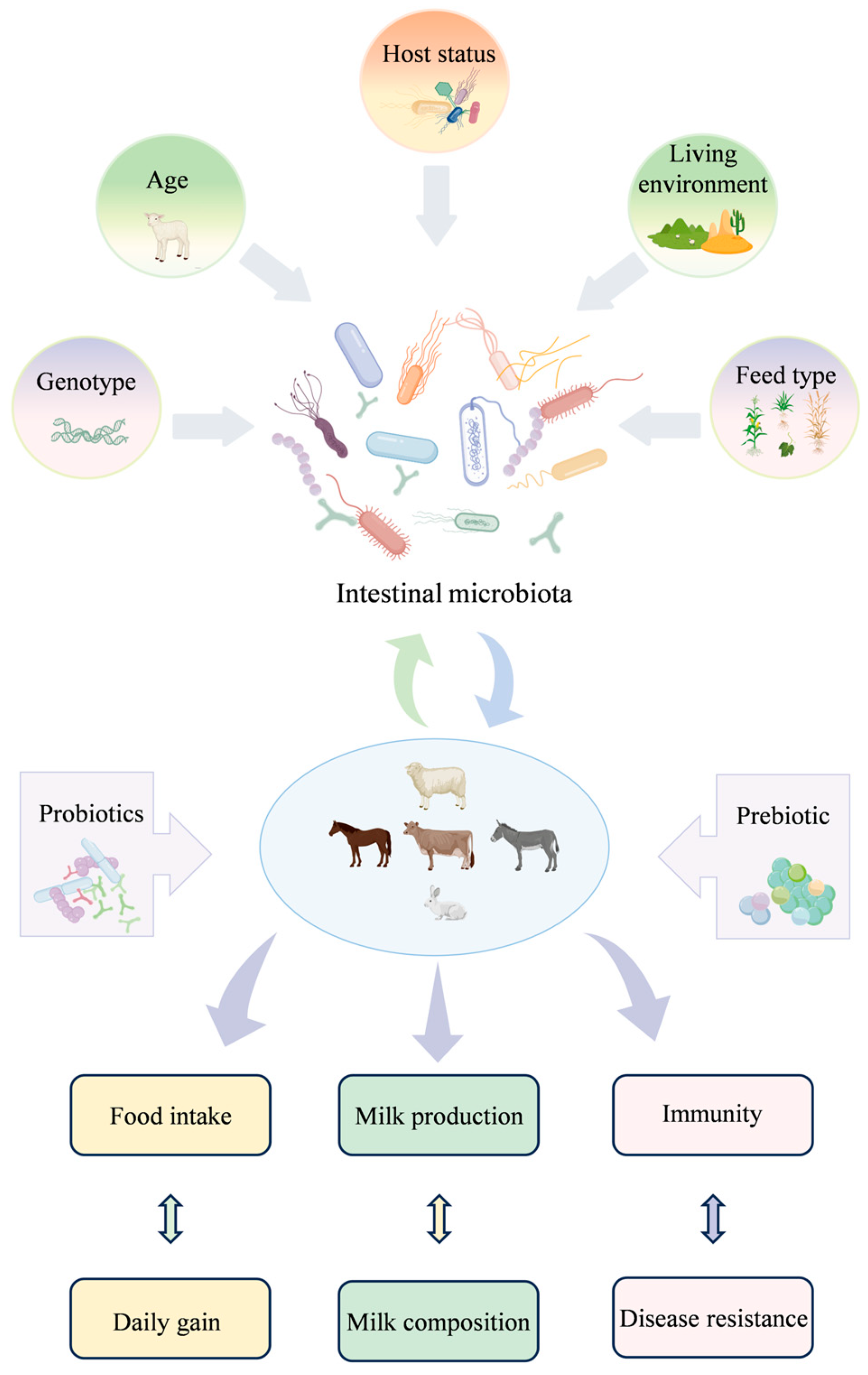 Animals 15 02938 g004 Animals 15 02938 g004