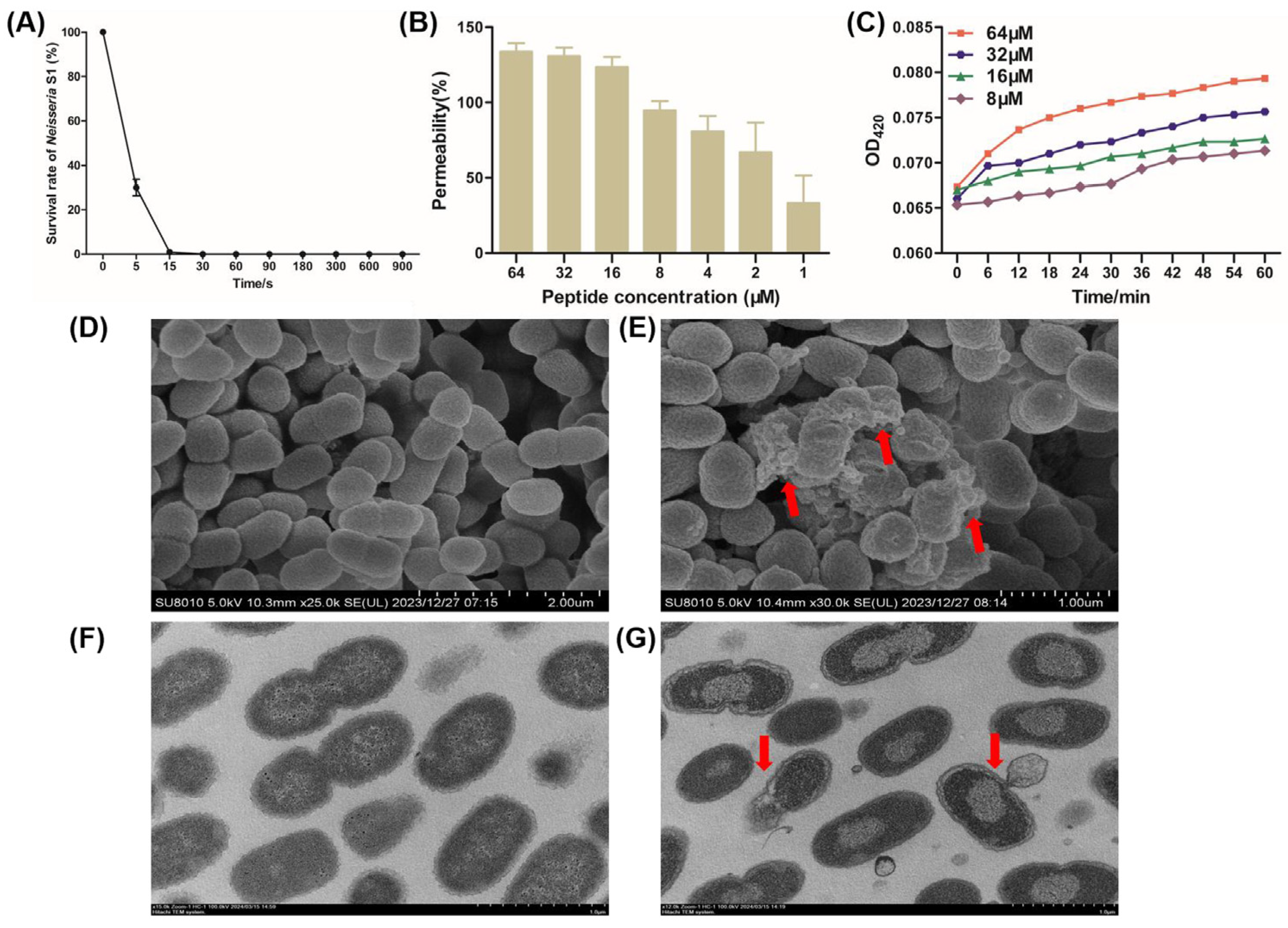 Animals 15 02939 g003 Animals 15 02939 g003