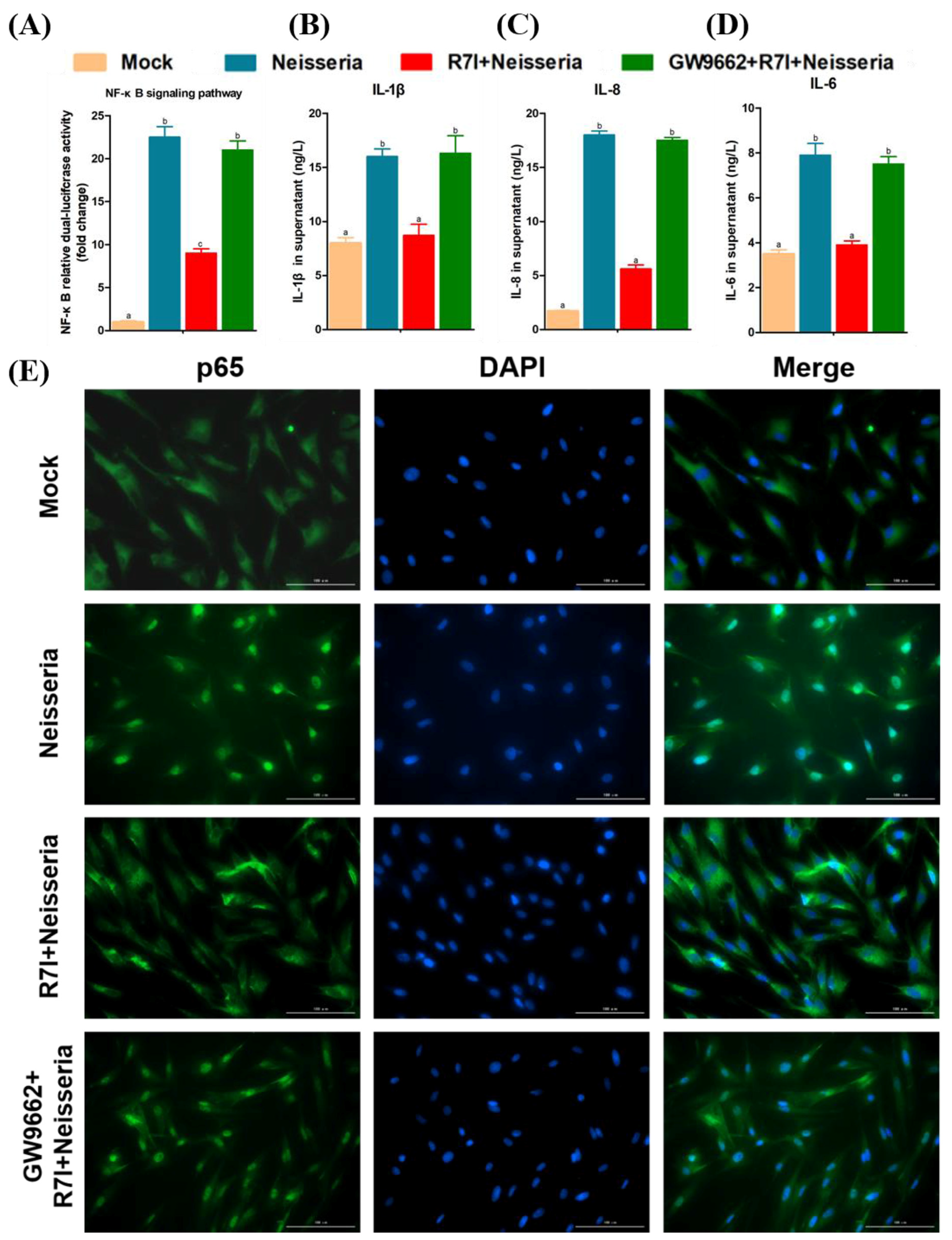Animals 15 02939 g009 Animals 15 02939 g009