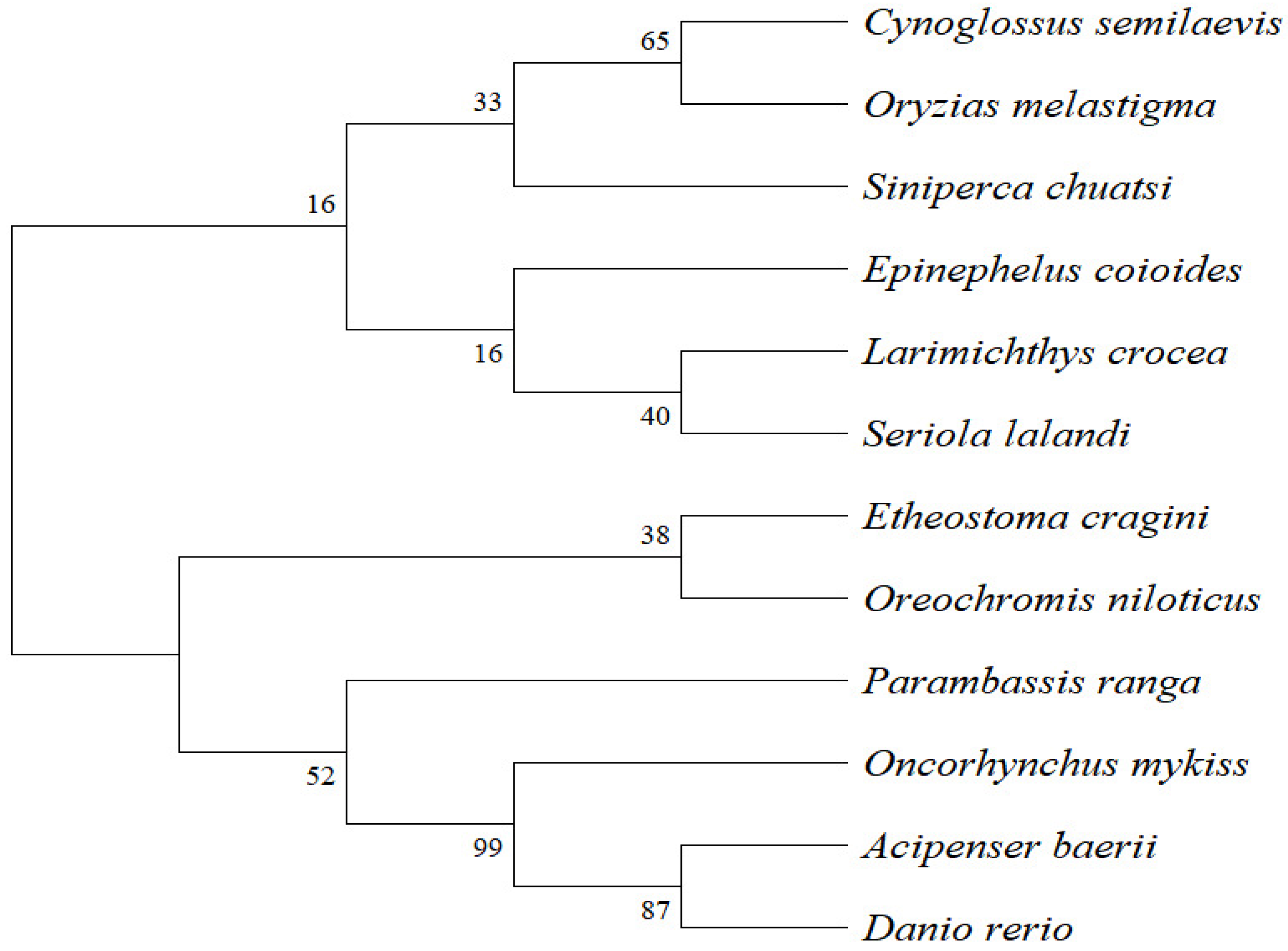 Animals 15 02944 g001