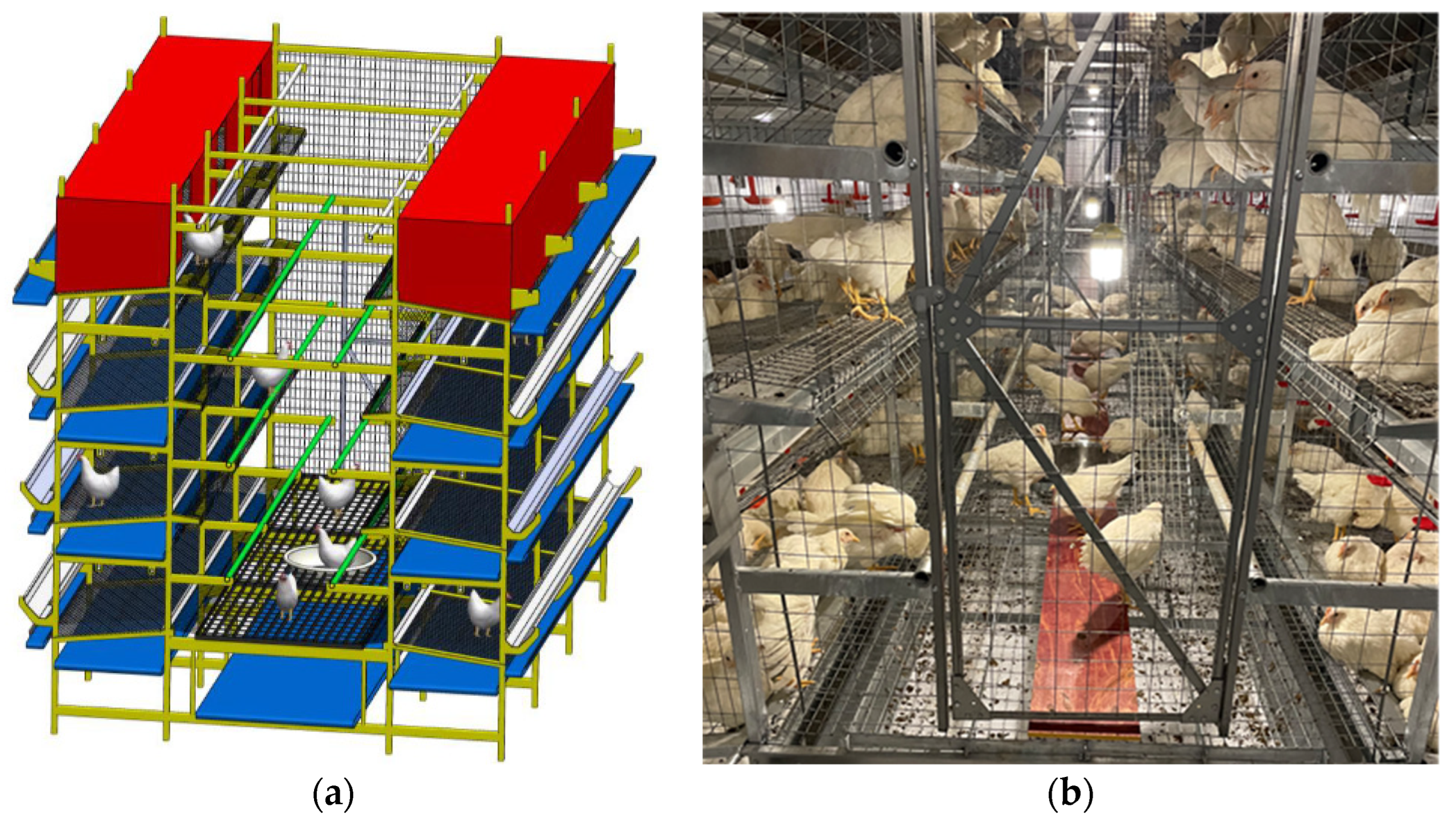 Animals 15 02946 g001