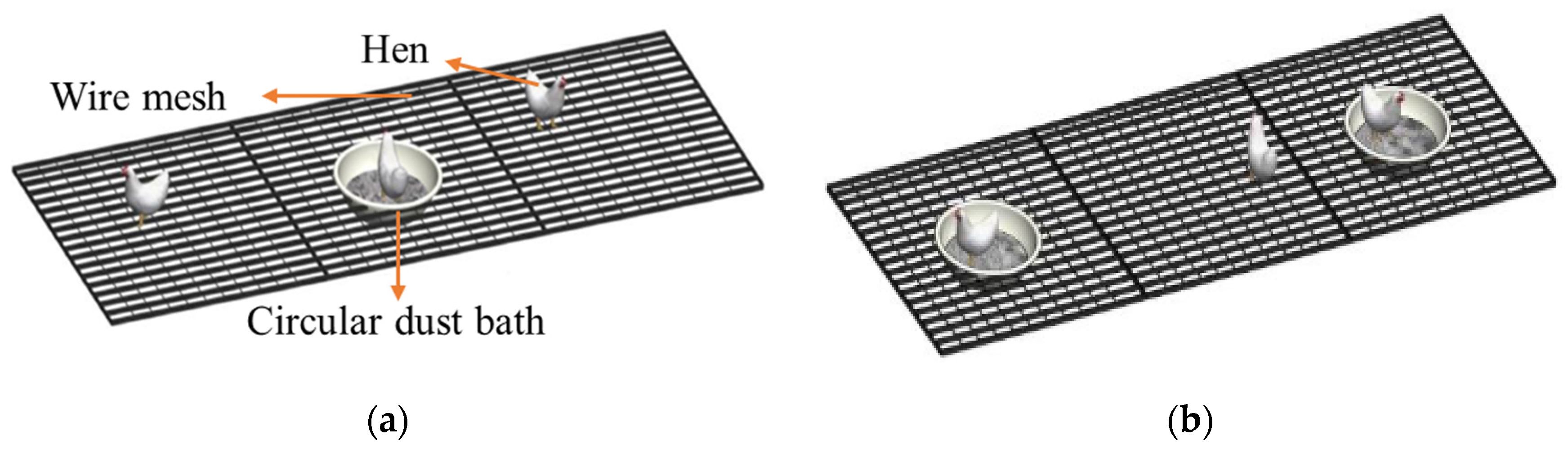 Animals 15 02946 g002