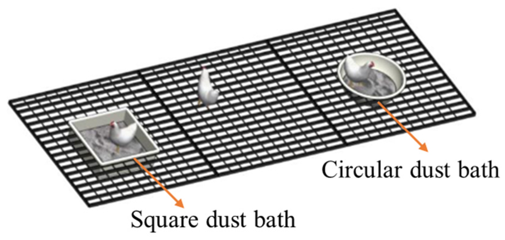 Animals 15 02946 g003