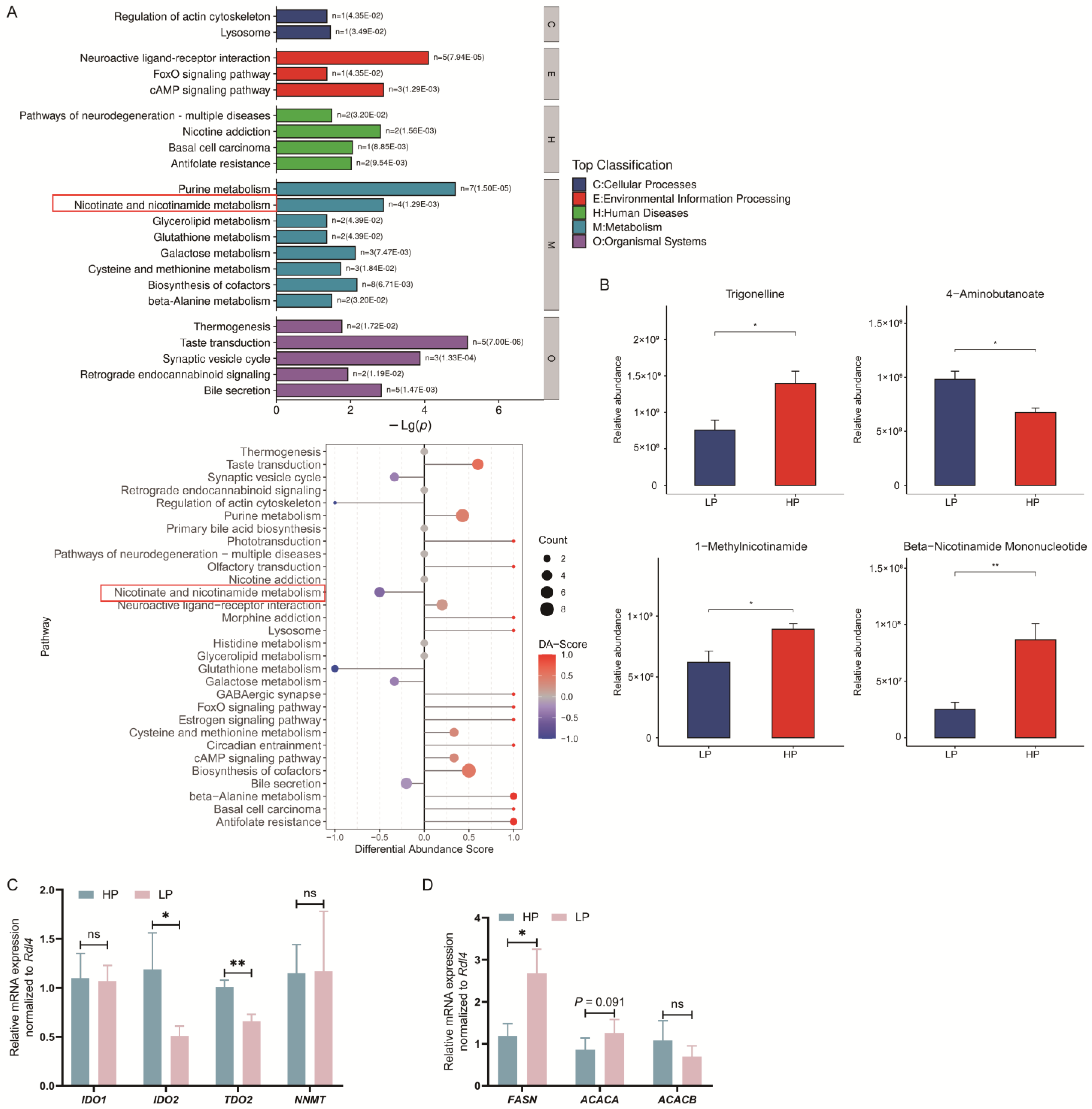Animals 15 02950 g003 Animals 15 02950 g003