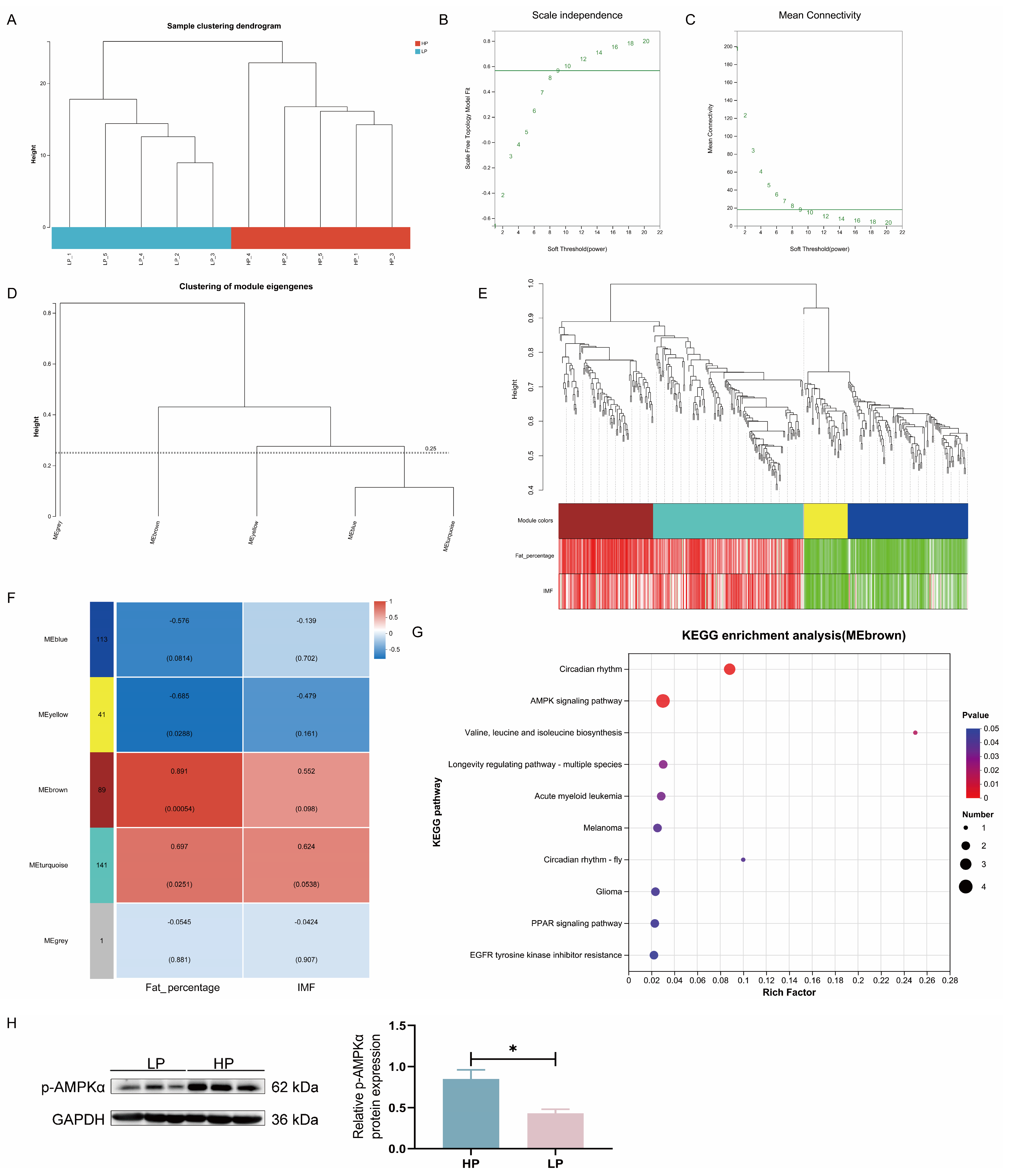 Animals 15 02950 g004 Animals 15 02950 g004