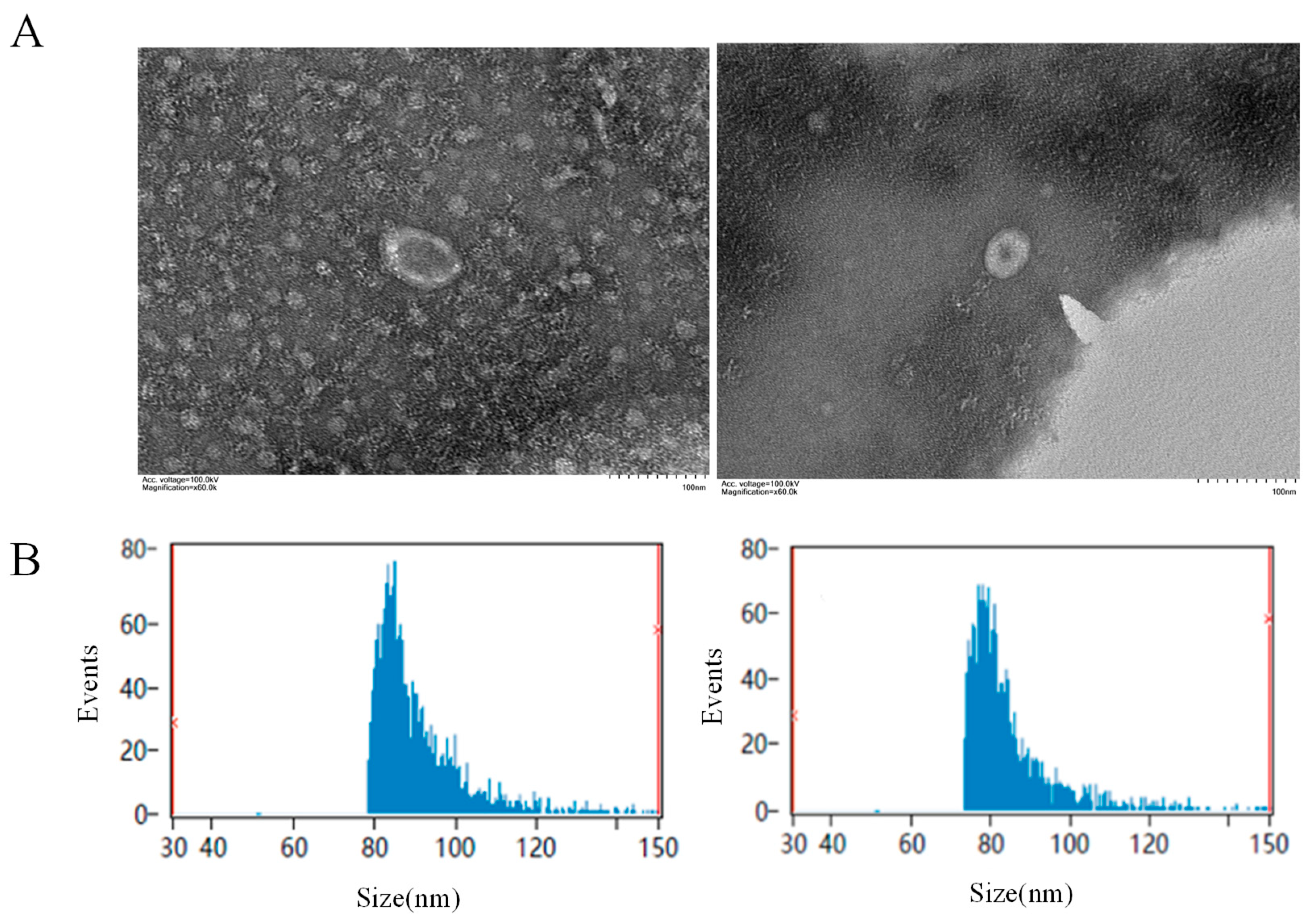 Animals 15 02955 g001 Animals 15 02955 g001