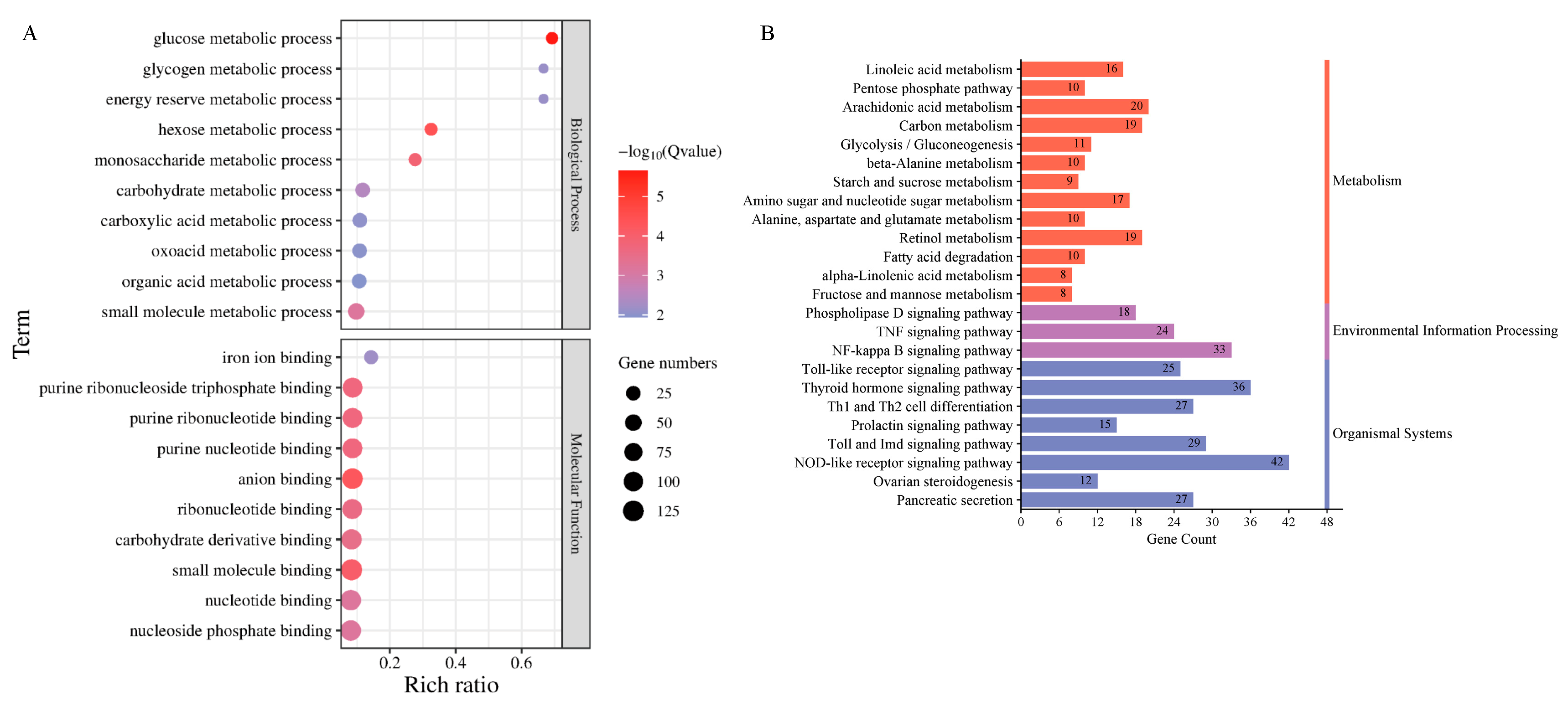 Animals 15 02955 g006 Animals 15 02955 g006