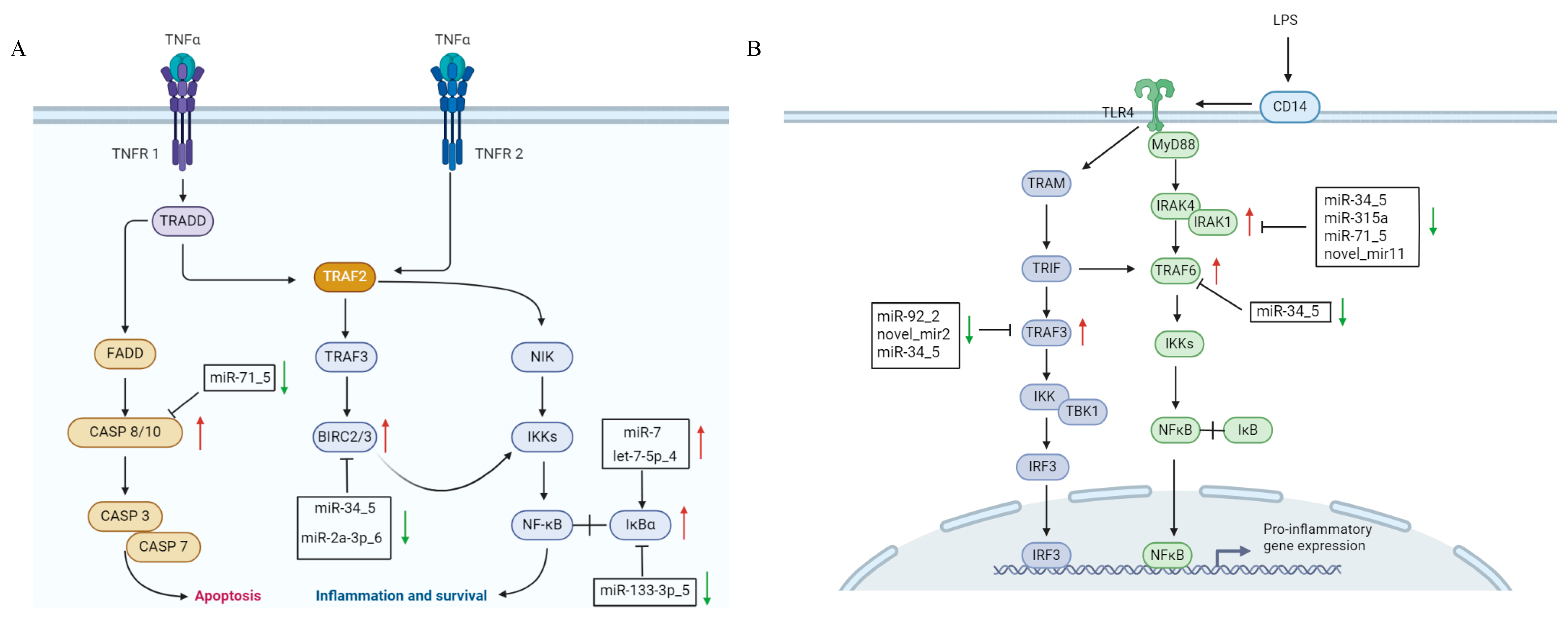 Animals 15 02955 g007 Animals 15 02955 g007